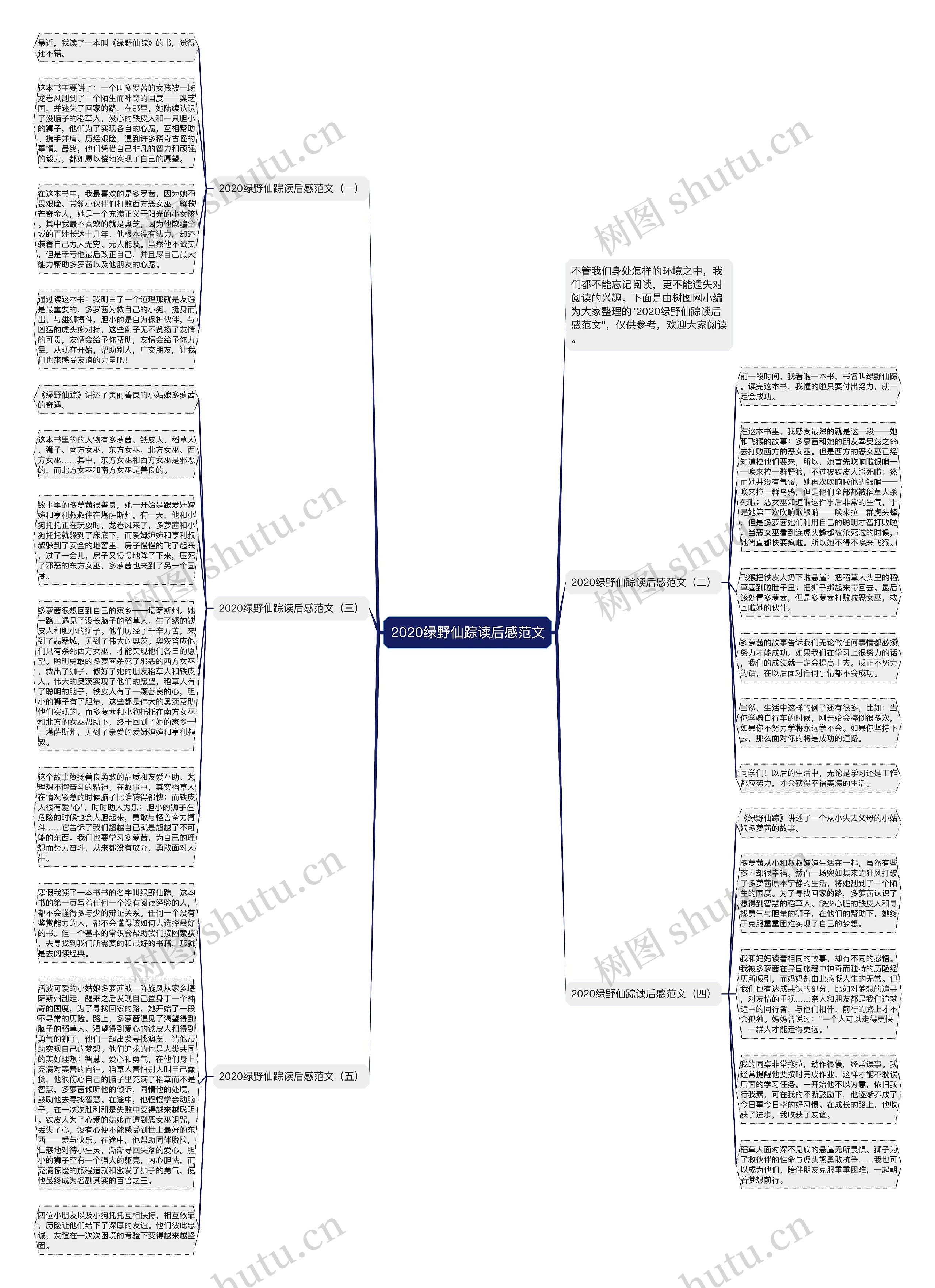 2020绿野仙踪读后感范文思维导图