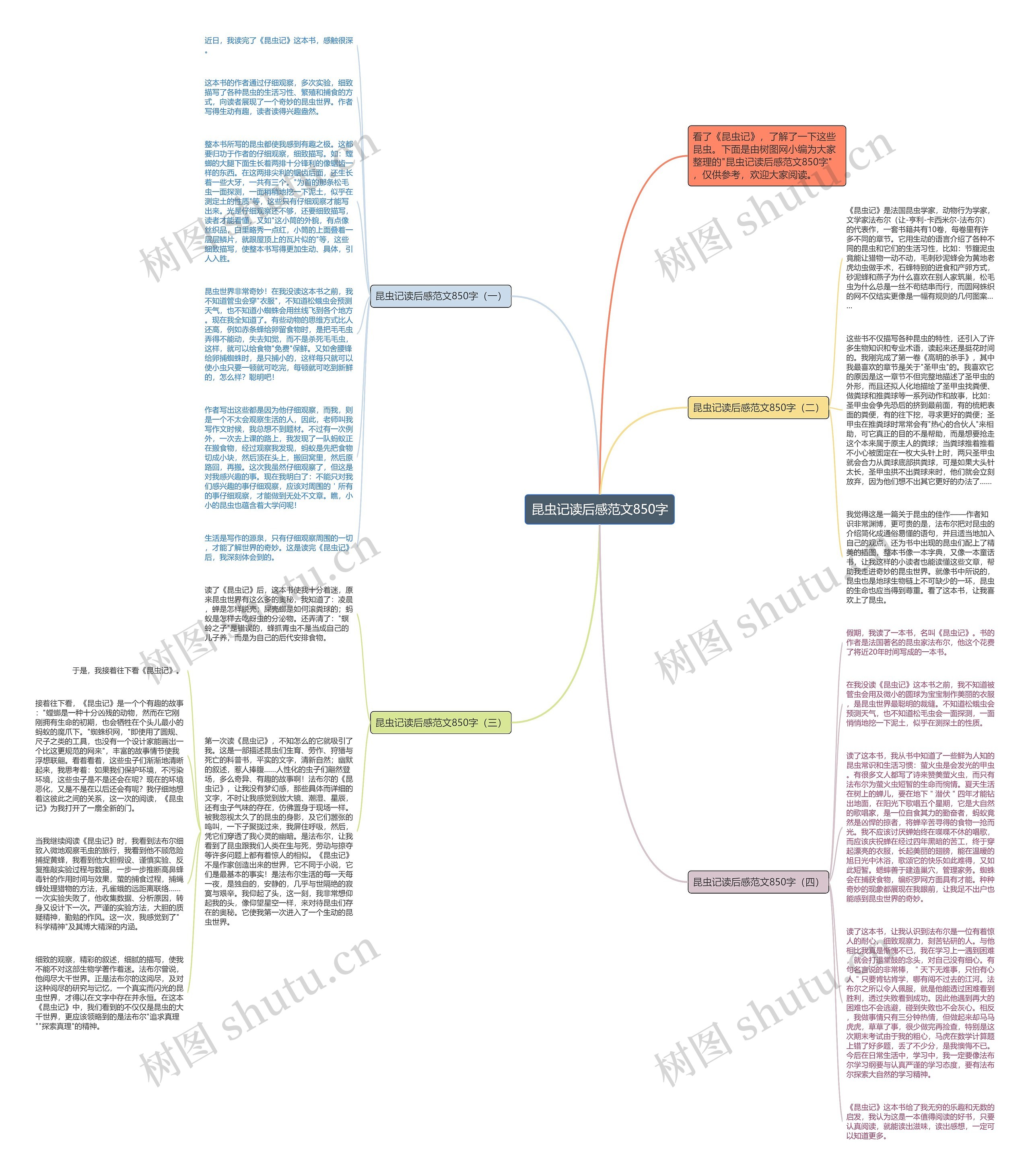 昆虫记读后感范文850字思维导图