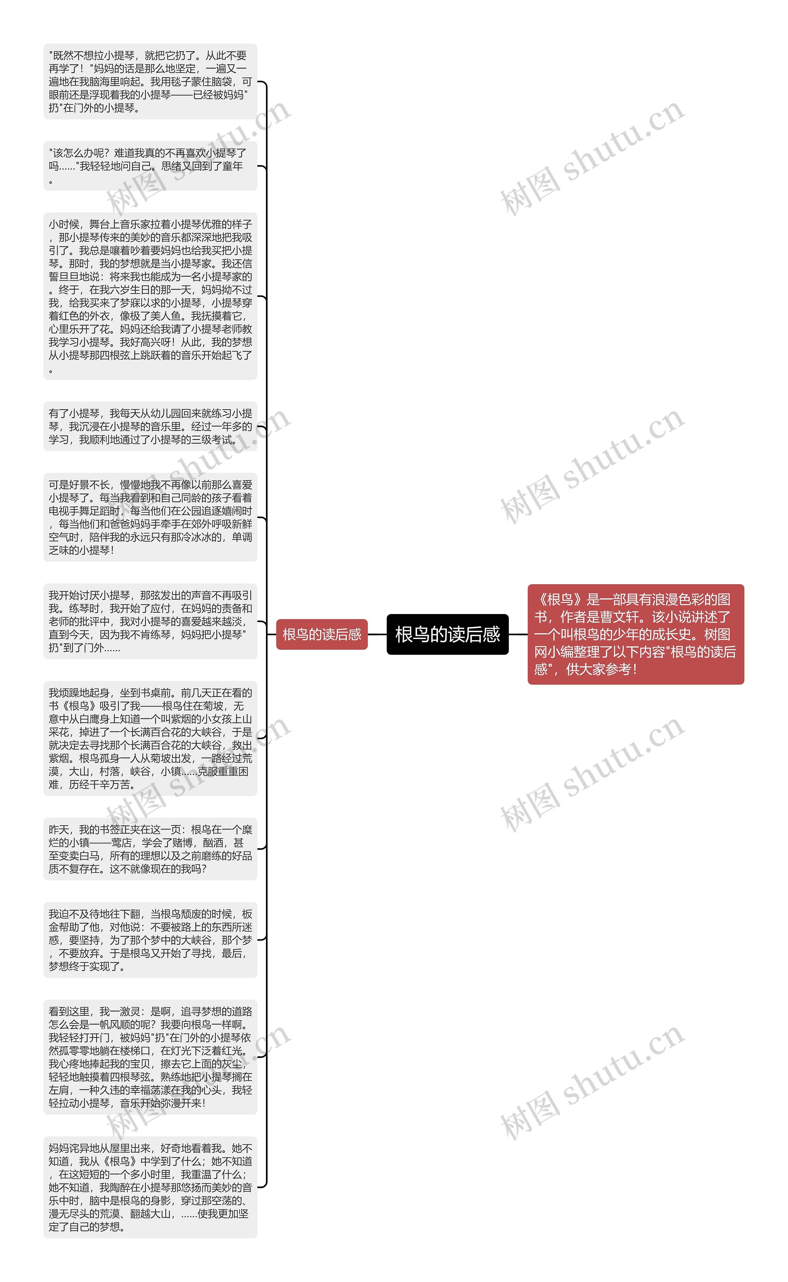 根鸟的读后感