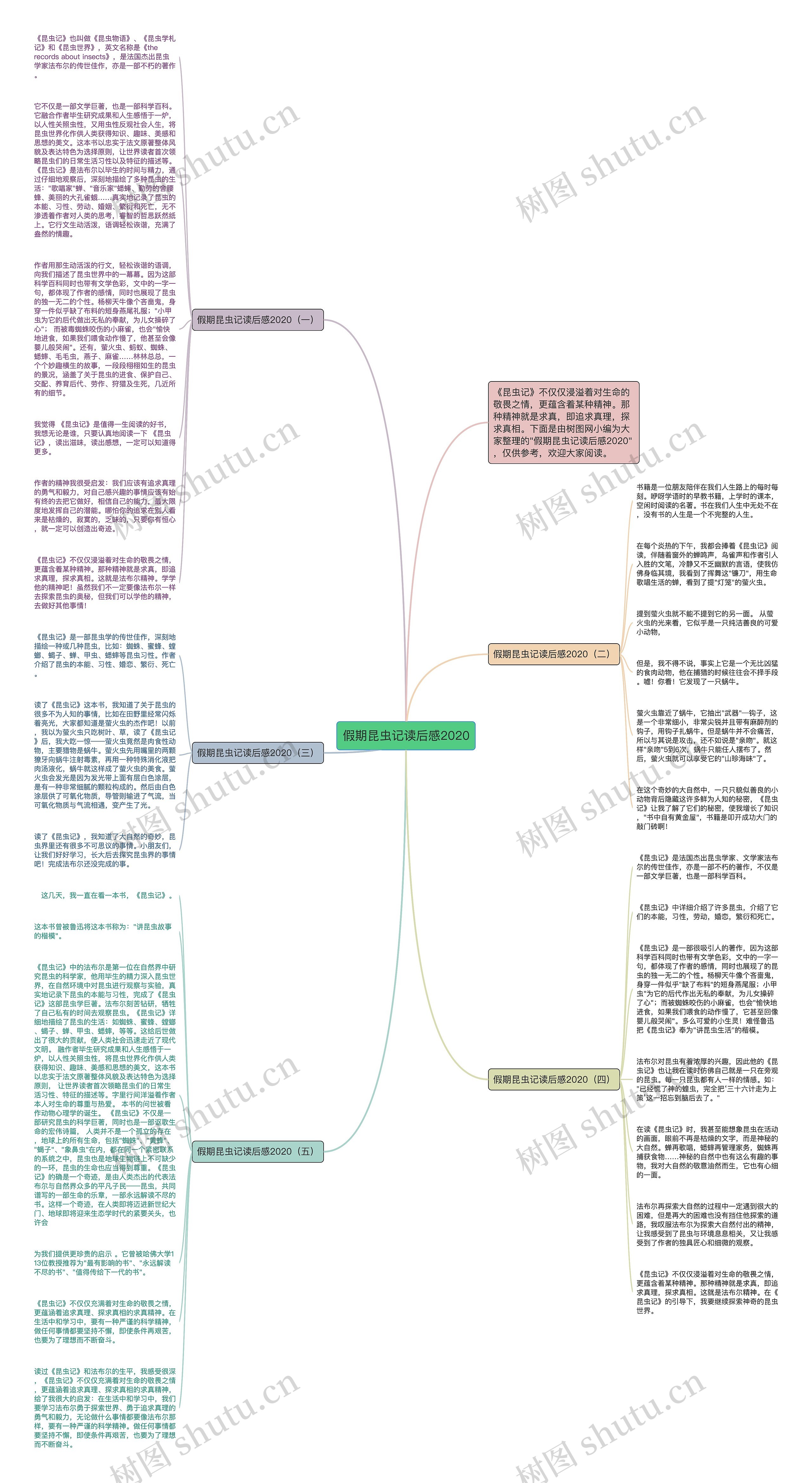 假期昆虫记读后感2020思维导图