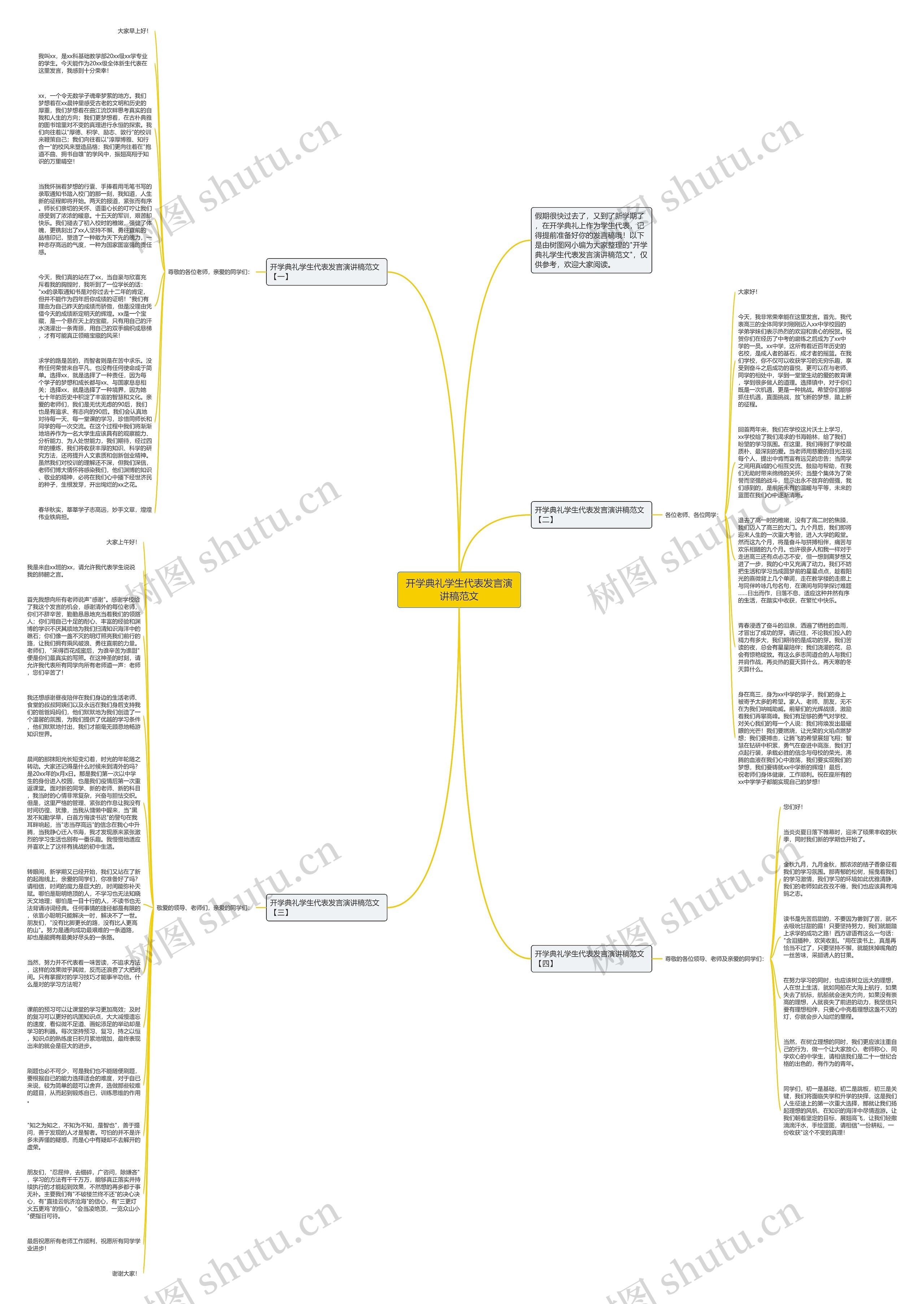 开学典礼学生代表发言演讲稿范文思维导图