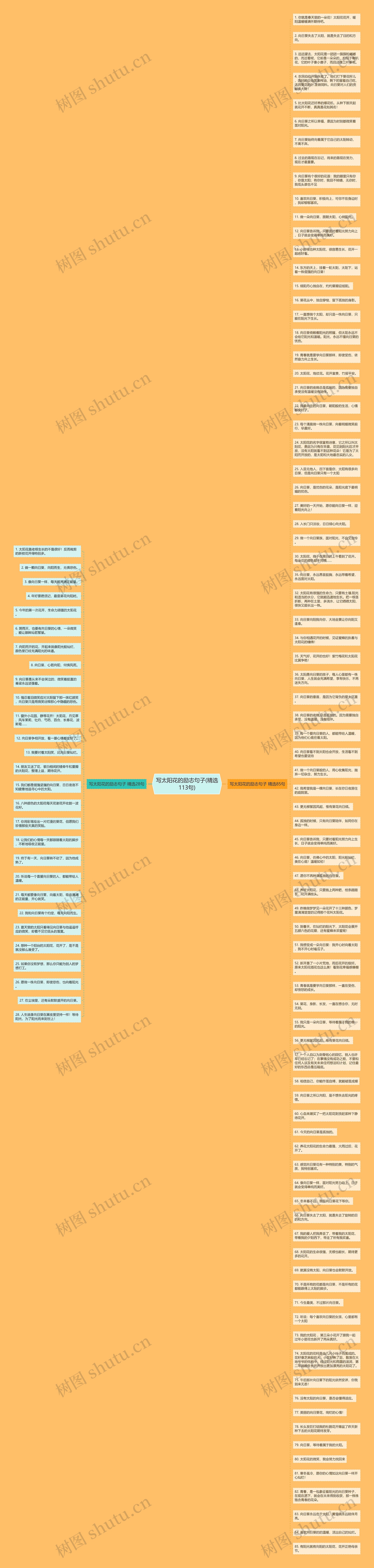 写太阳花的励志句子(精选113句)思维导图
