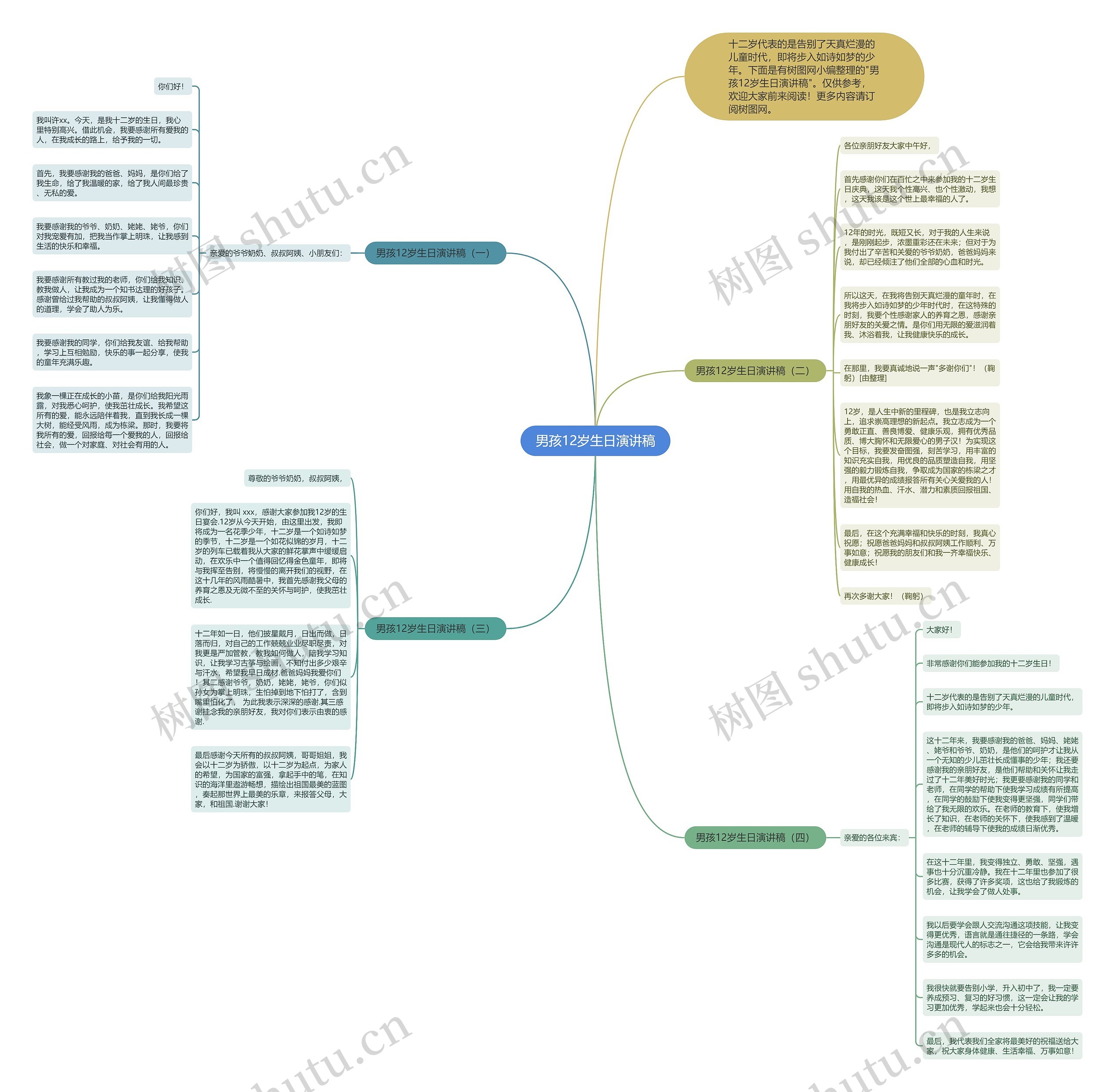 男孩12岁生日演讲稿思维导图