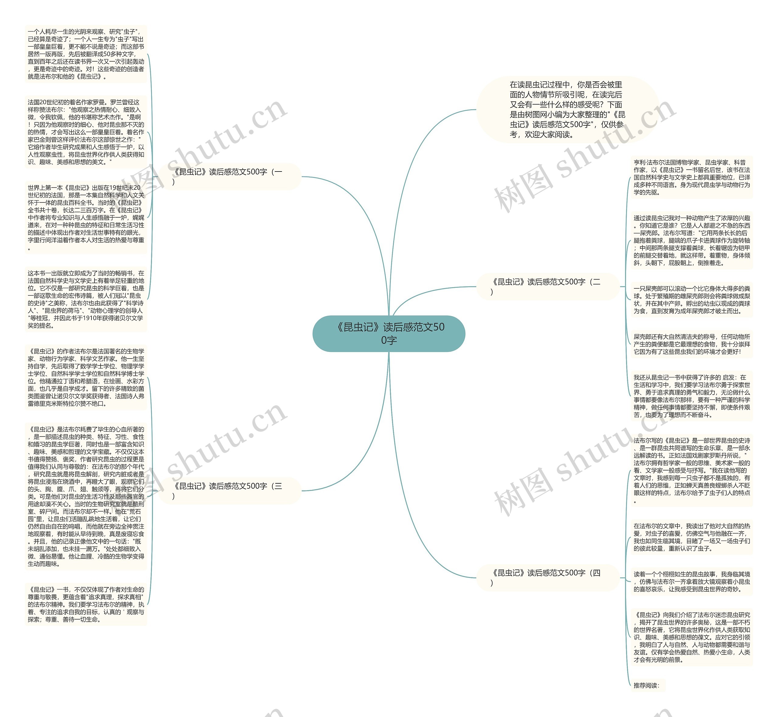《昆虫记》读后感范文500字思维导图