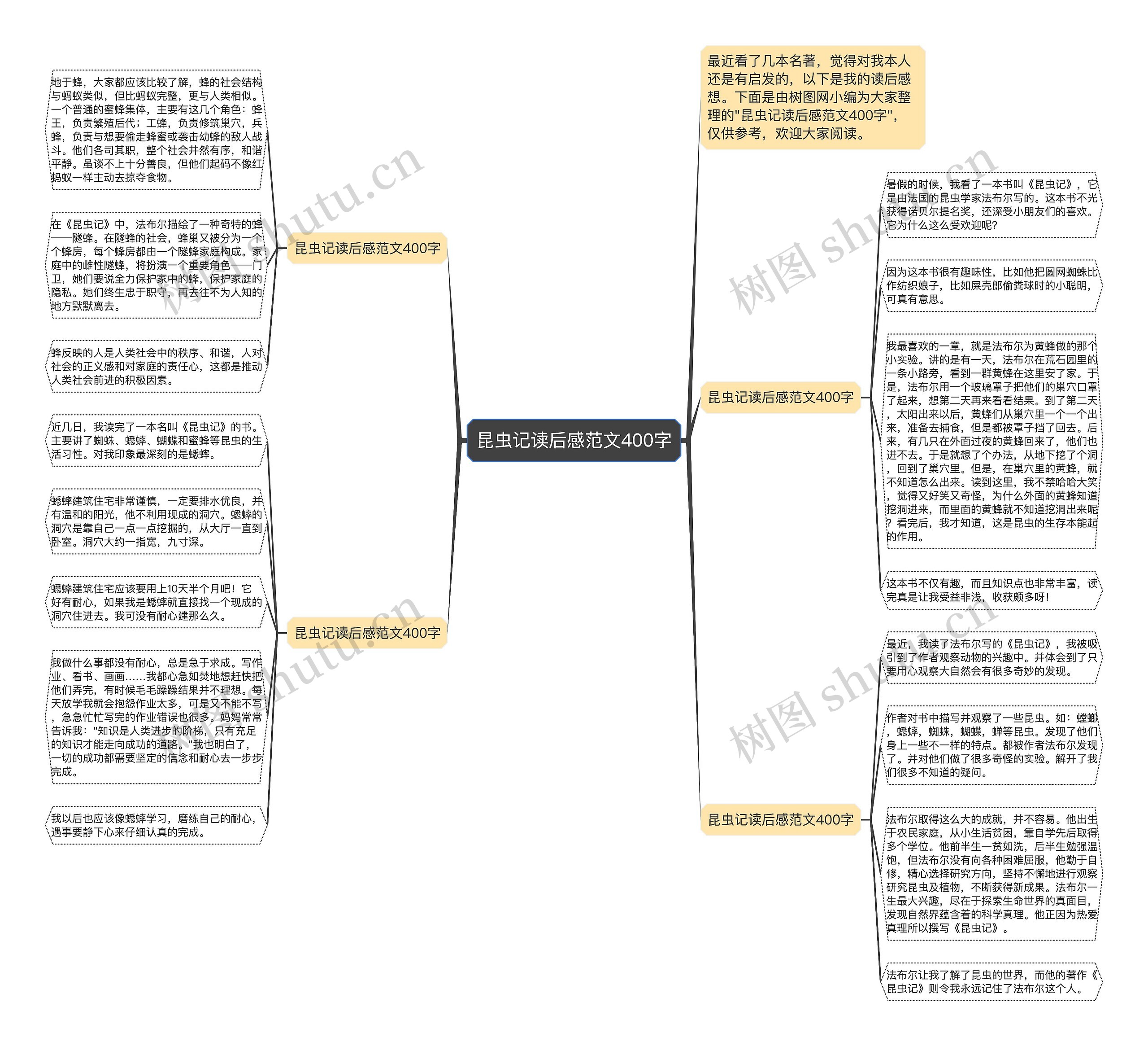 昆虫记读后感范文400字思维导图