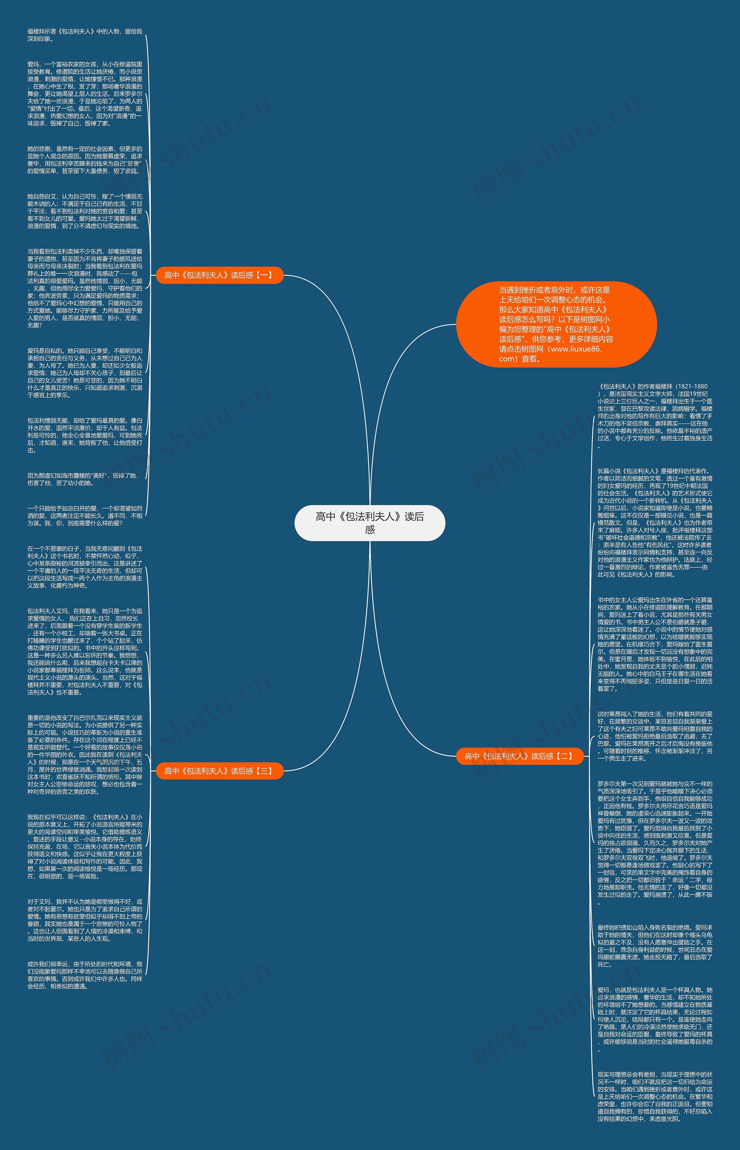 高中《包法利夫人》读后感思维导图