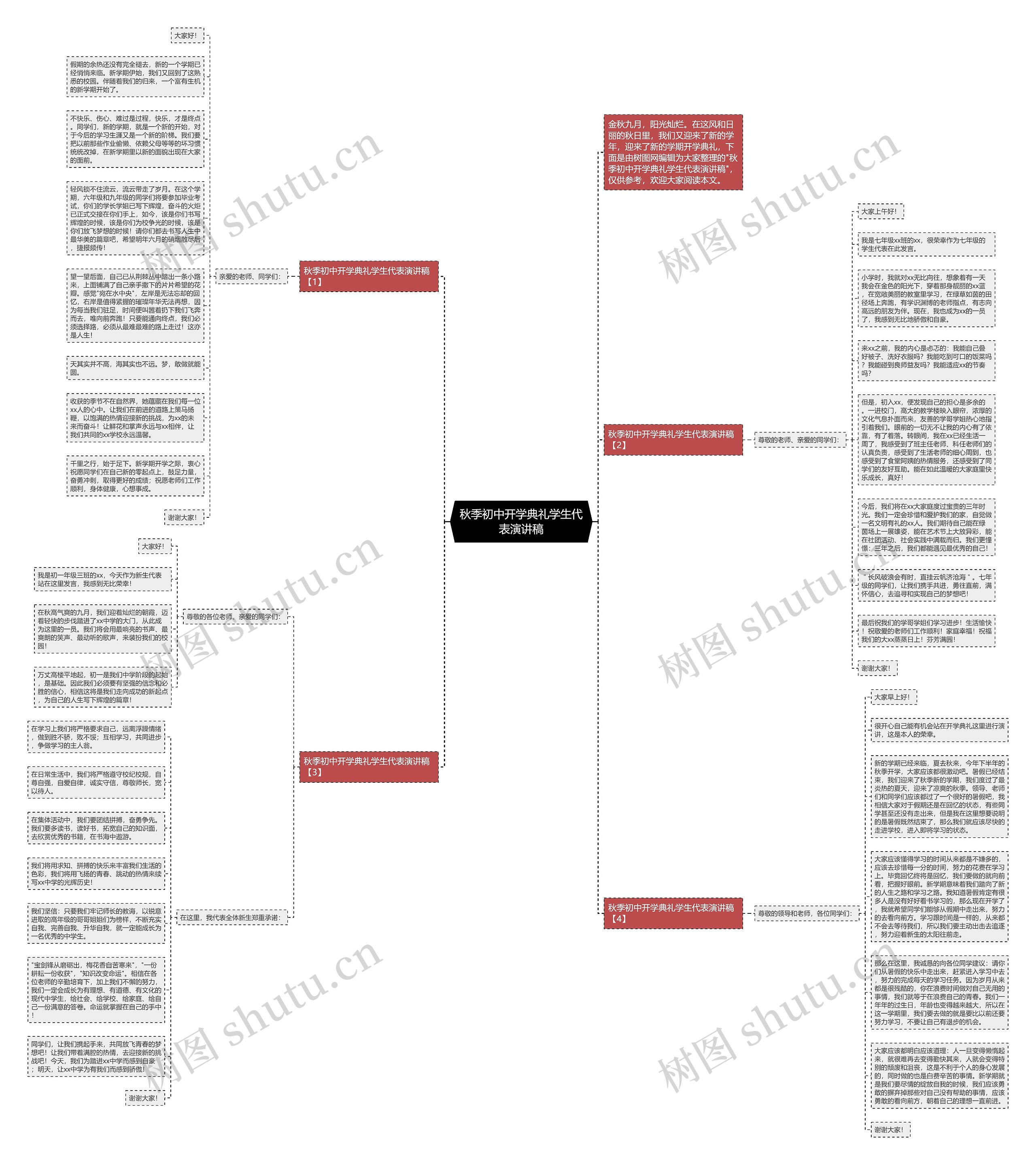 秋季初中开学典礼学生代表演讲稿思维导图