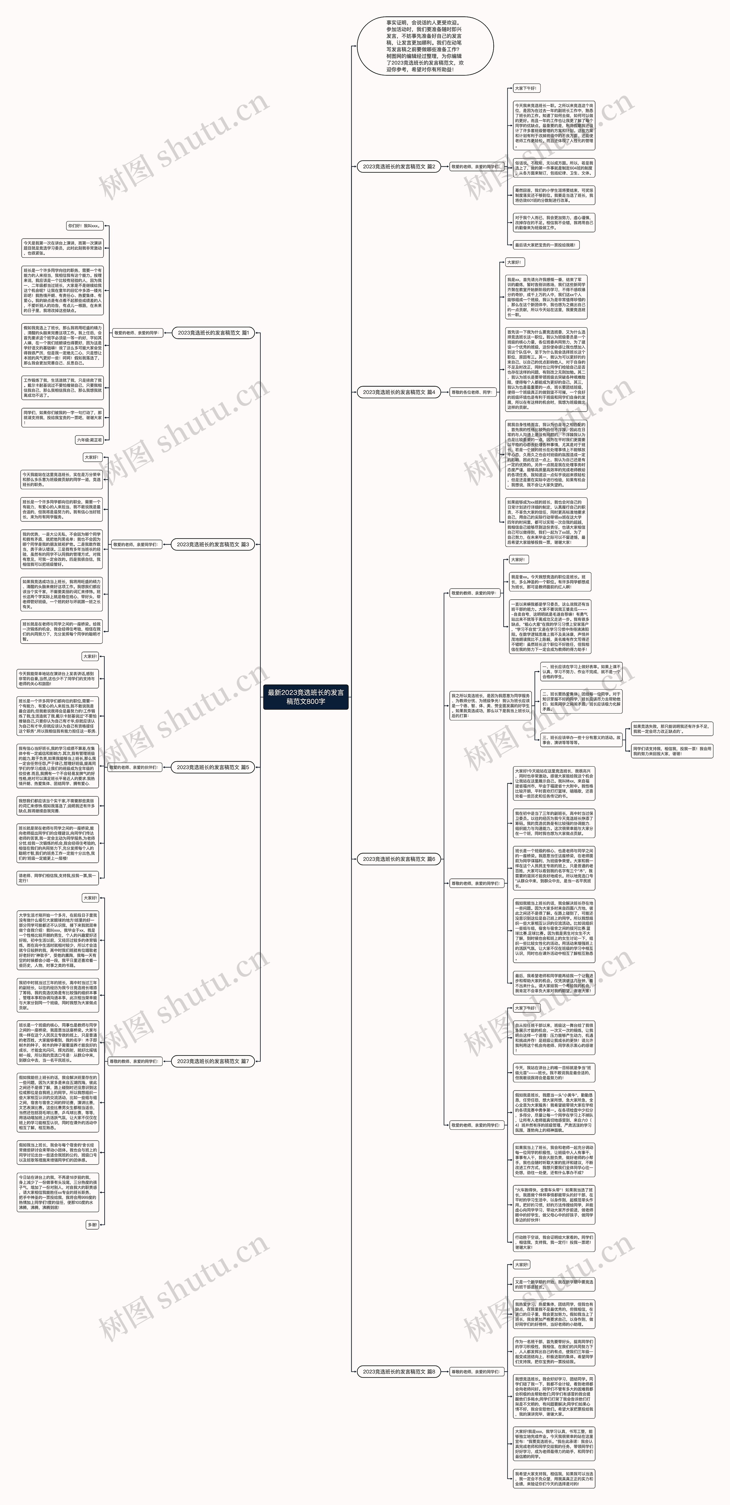 最新2023竞选班长的发言稿范文800字思维导图