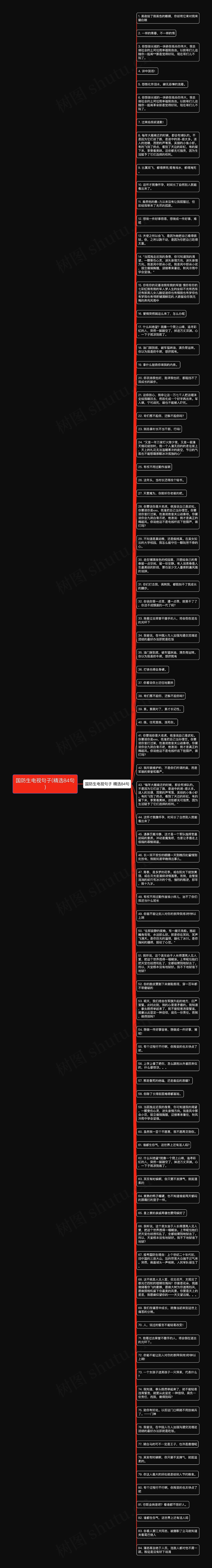 国防生电视句子(精选84句)