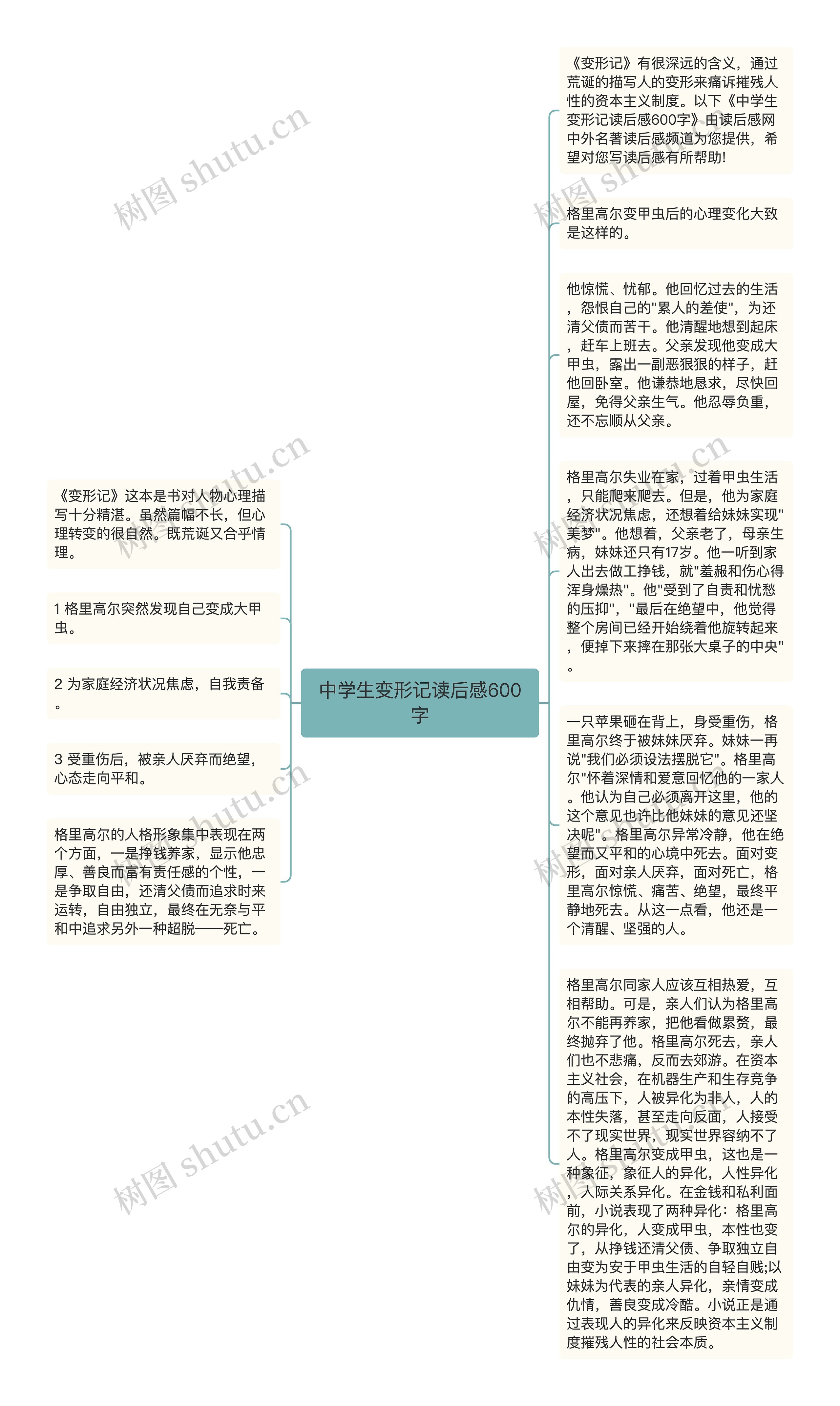 中学生变形记读后感600字思维导图