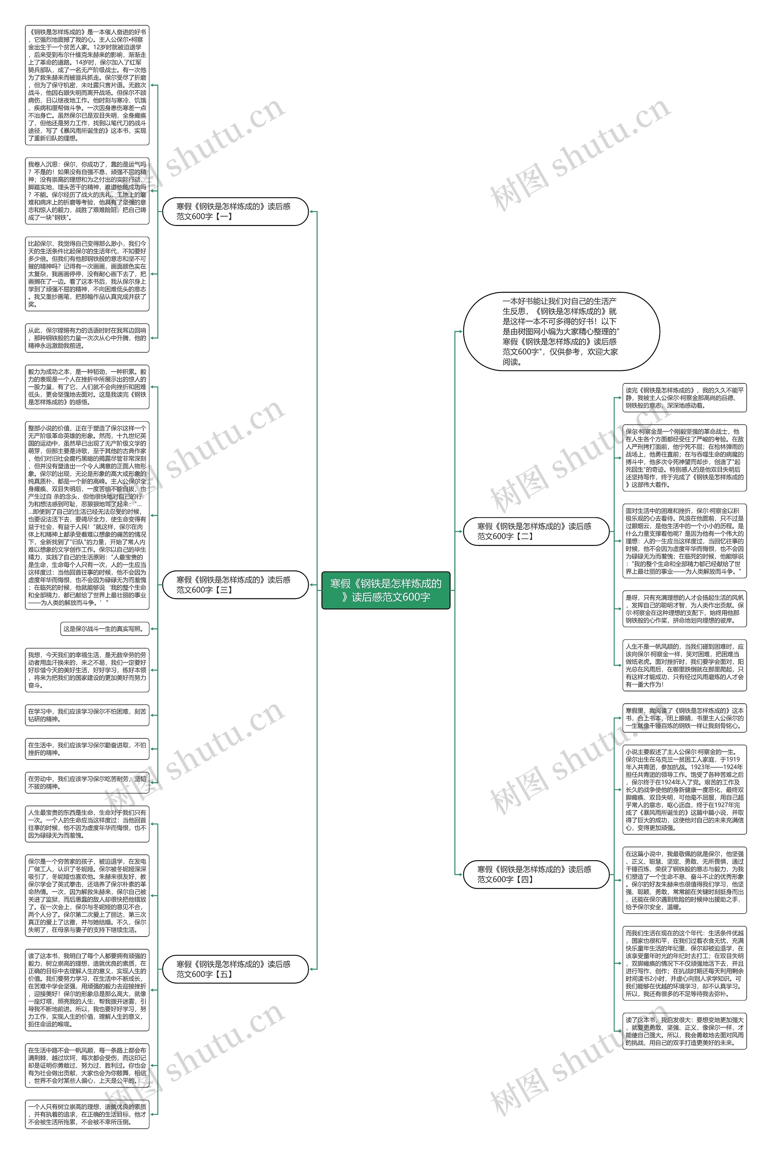 寒假《钢铁是怎样炼成的》读后感范文600字思维导图
