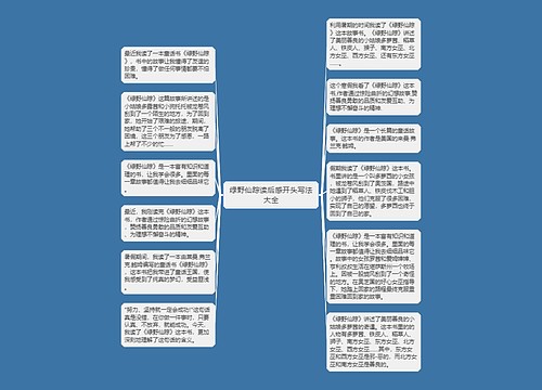 绿野仙踪读后感开头写法大全