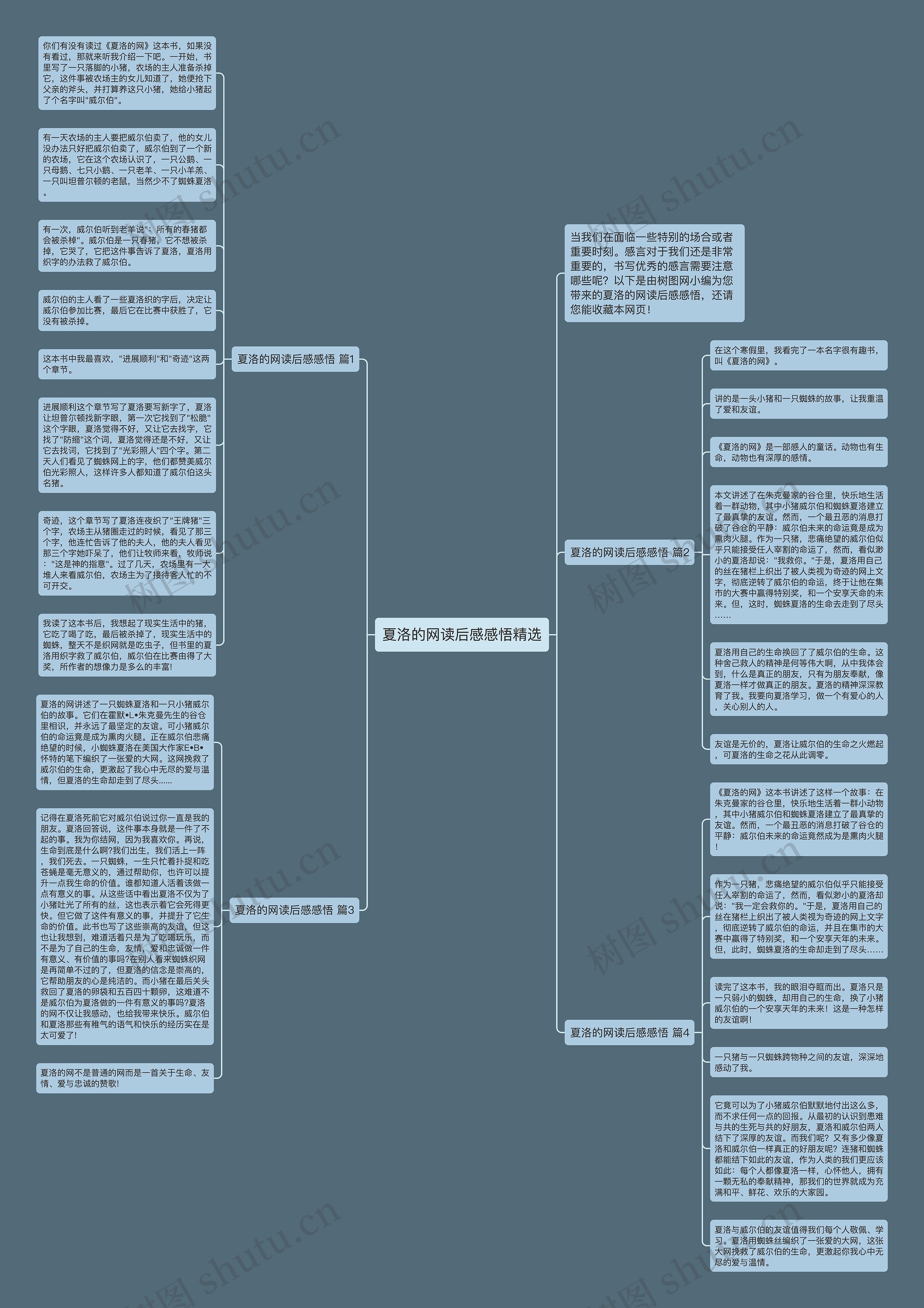 夏洛的网读后感感悟精选思维导图
