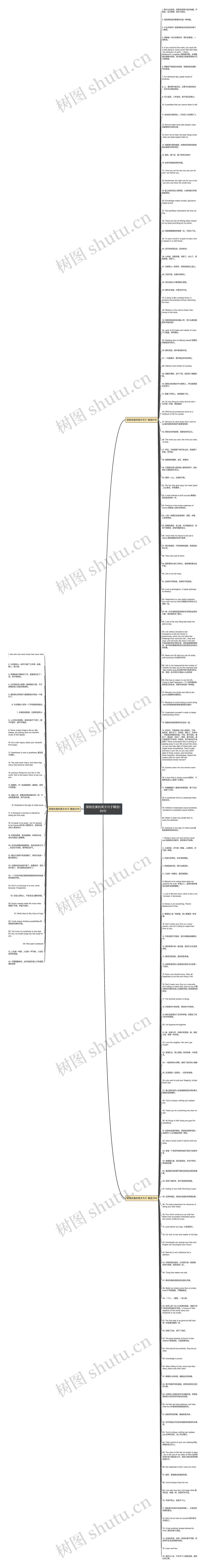 简短优美的英文句子精选189句思维导图
