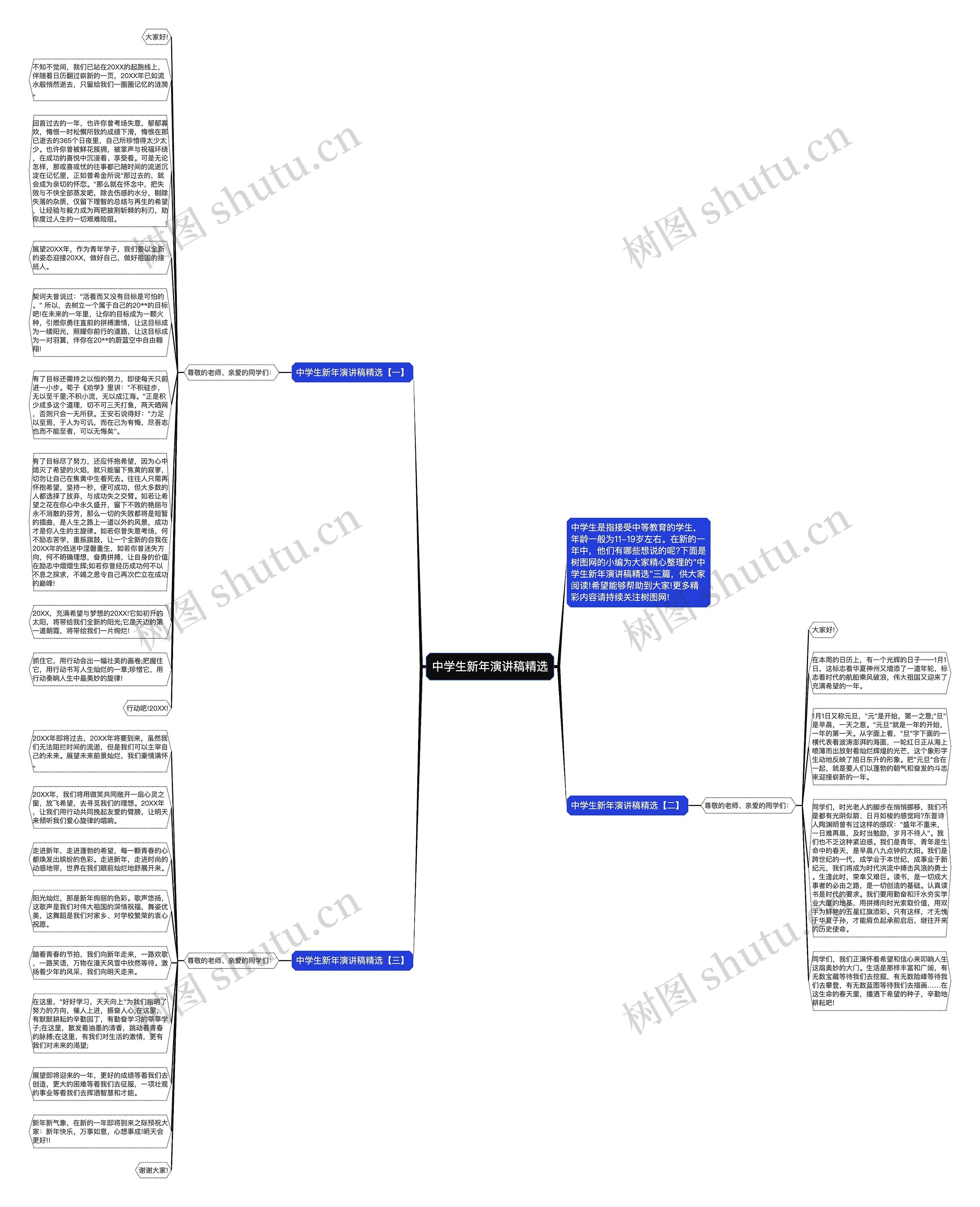 中学生新年演讲稿精选思维导图