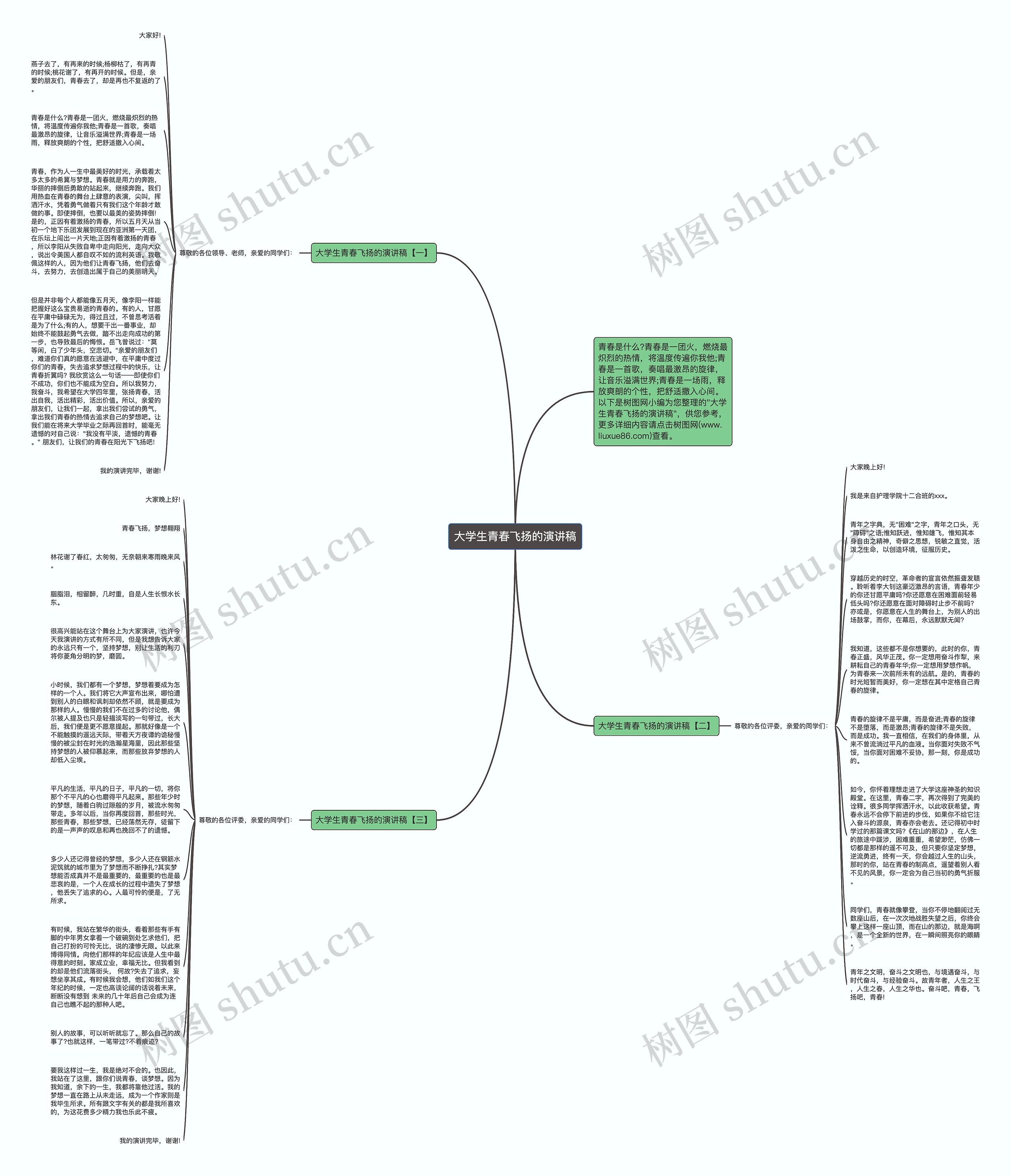 大学生青春飞扬的演讲稿思维导图