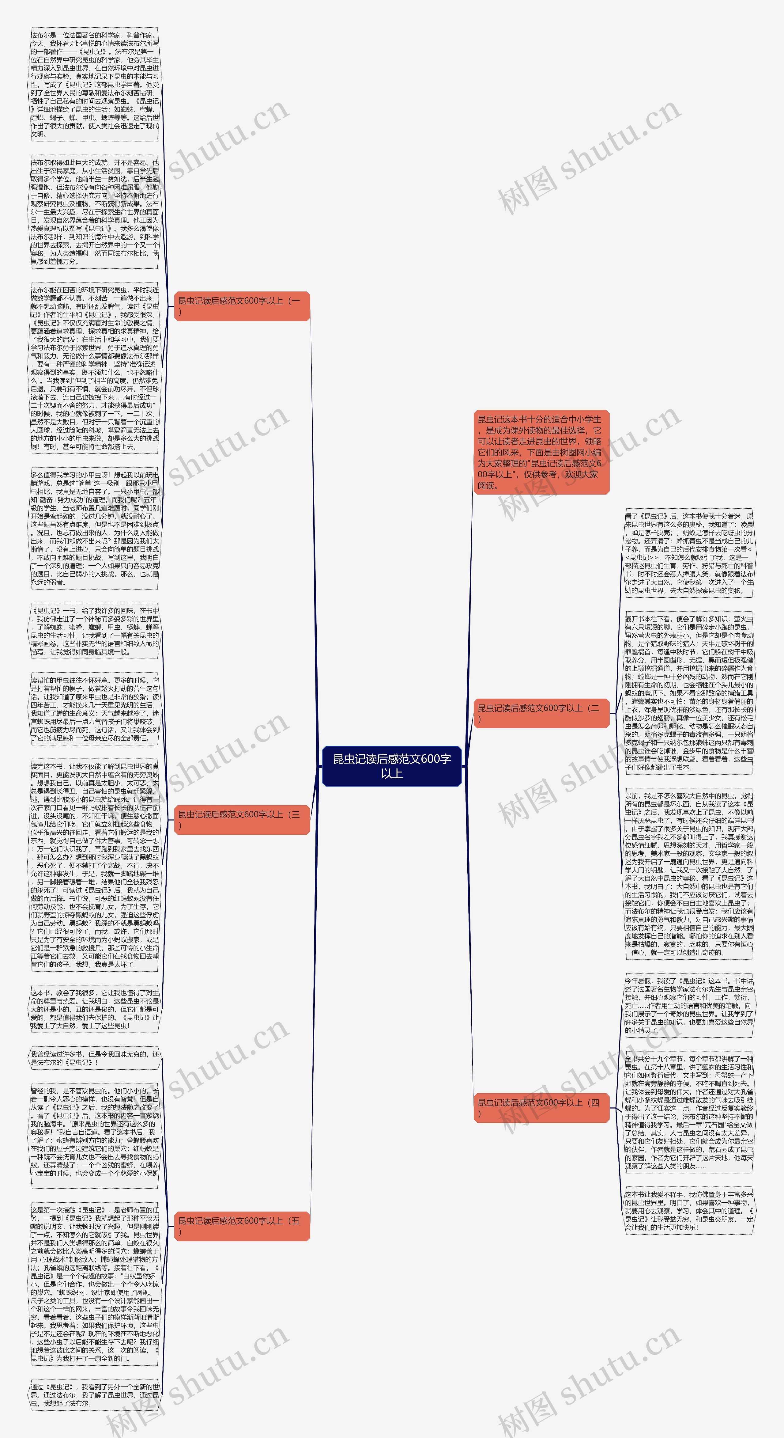 昆虫记读后感范文600字以上思维导图