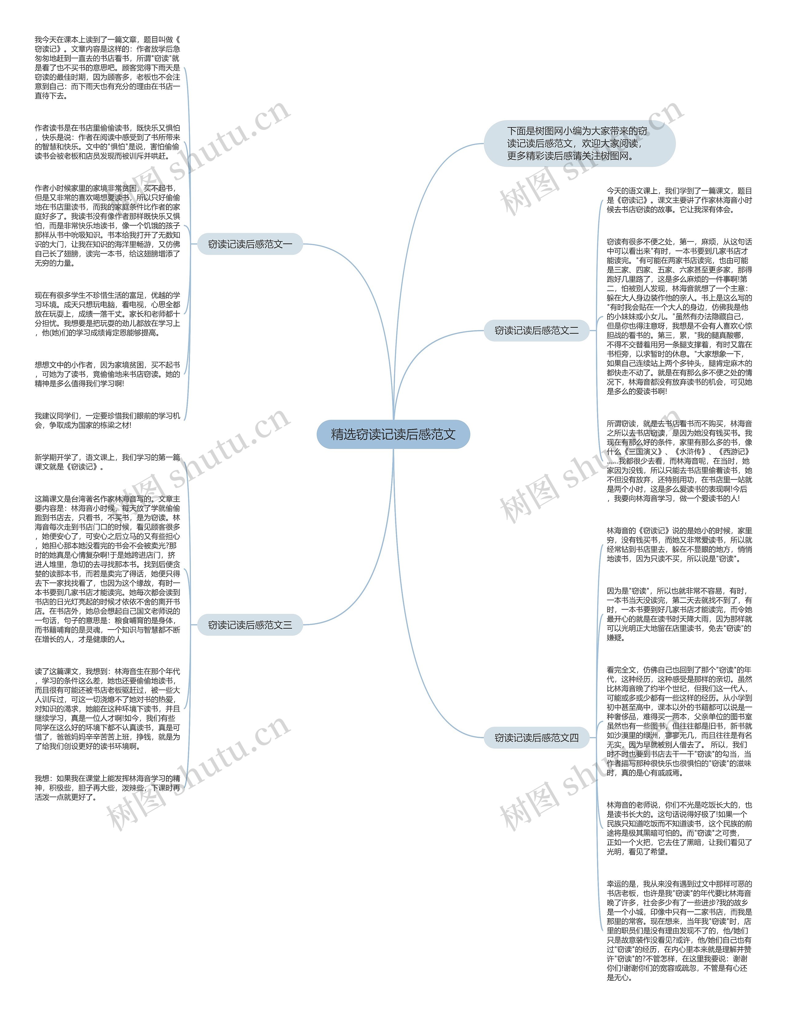 精选窃读记读后感范文思维导图