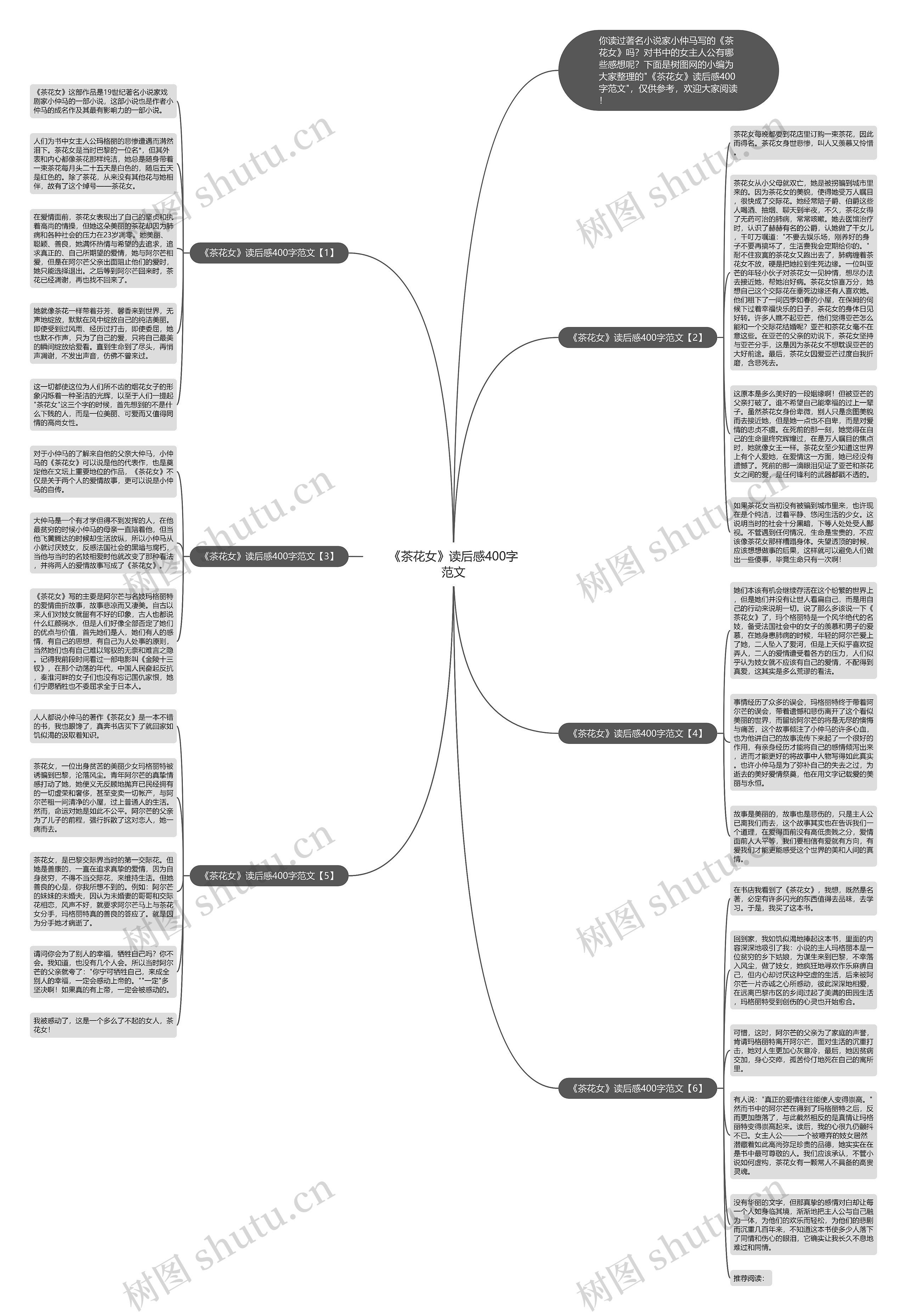 《茶花女》读后感400字范文思维导图
