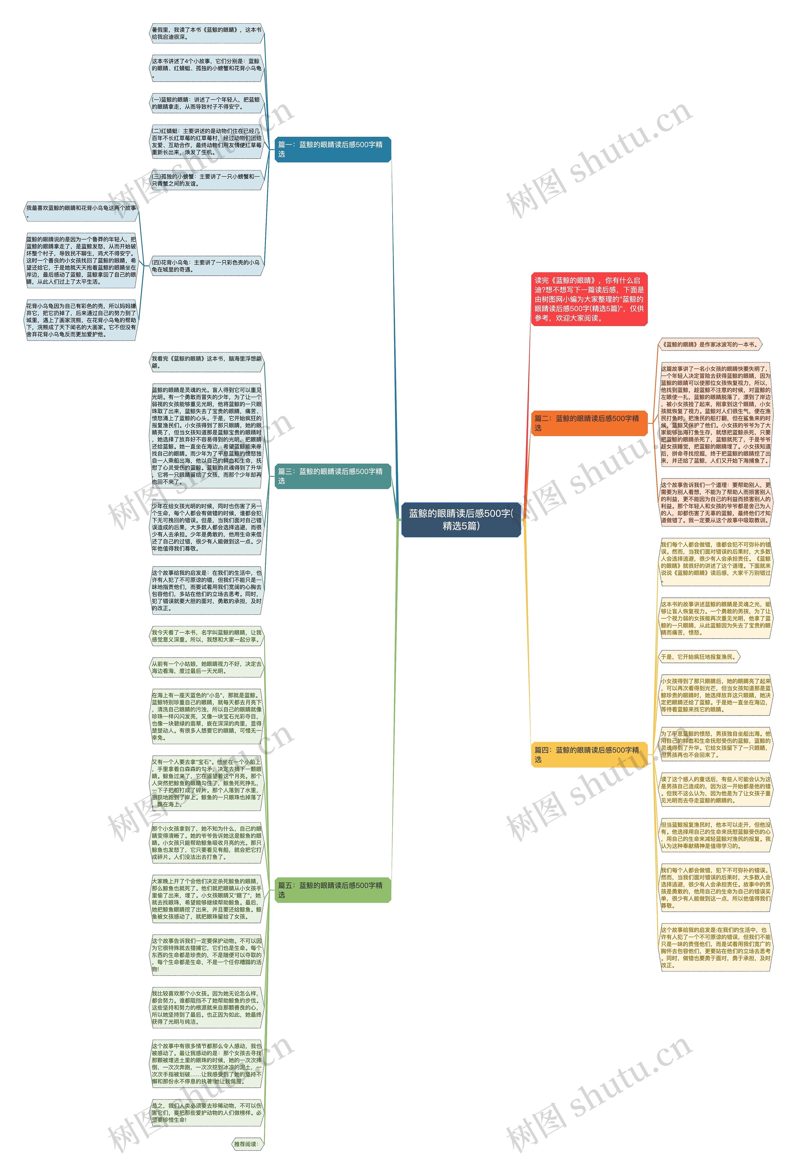 蓝鲸的眼睛读后感500字(精选5篇)思维导图