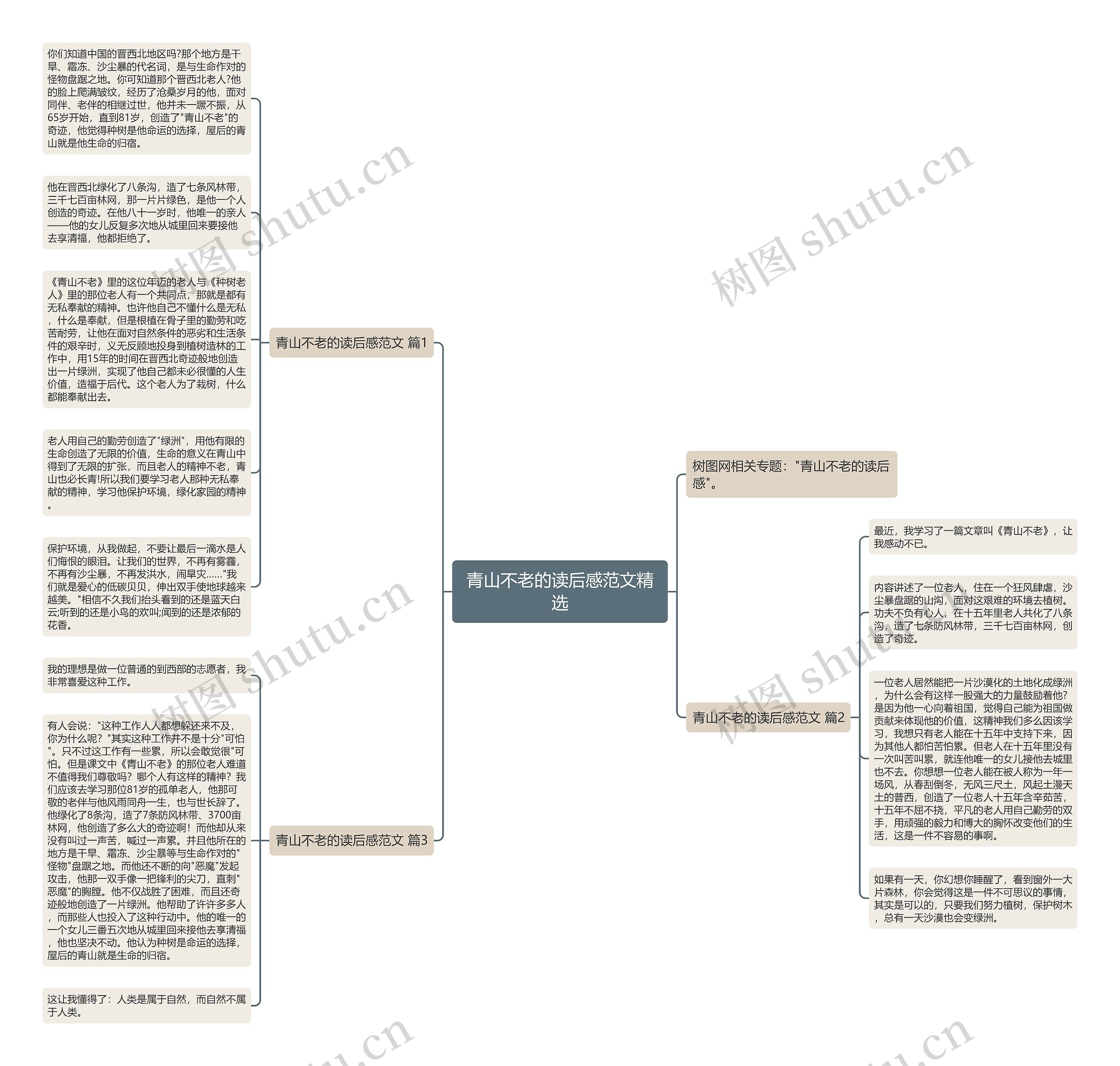 青山不老的读后感范文精选思维导图
