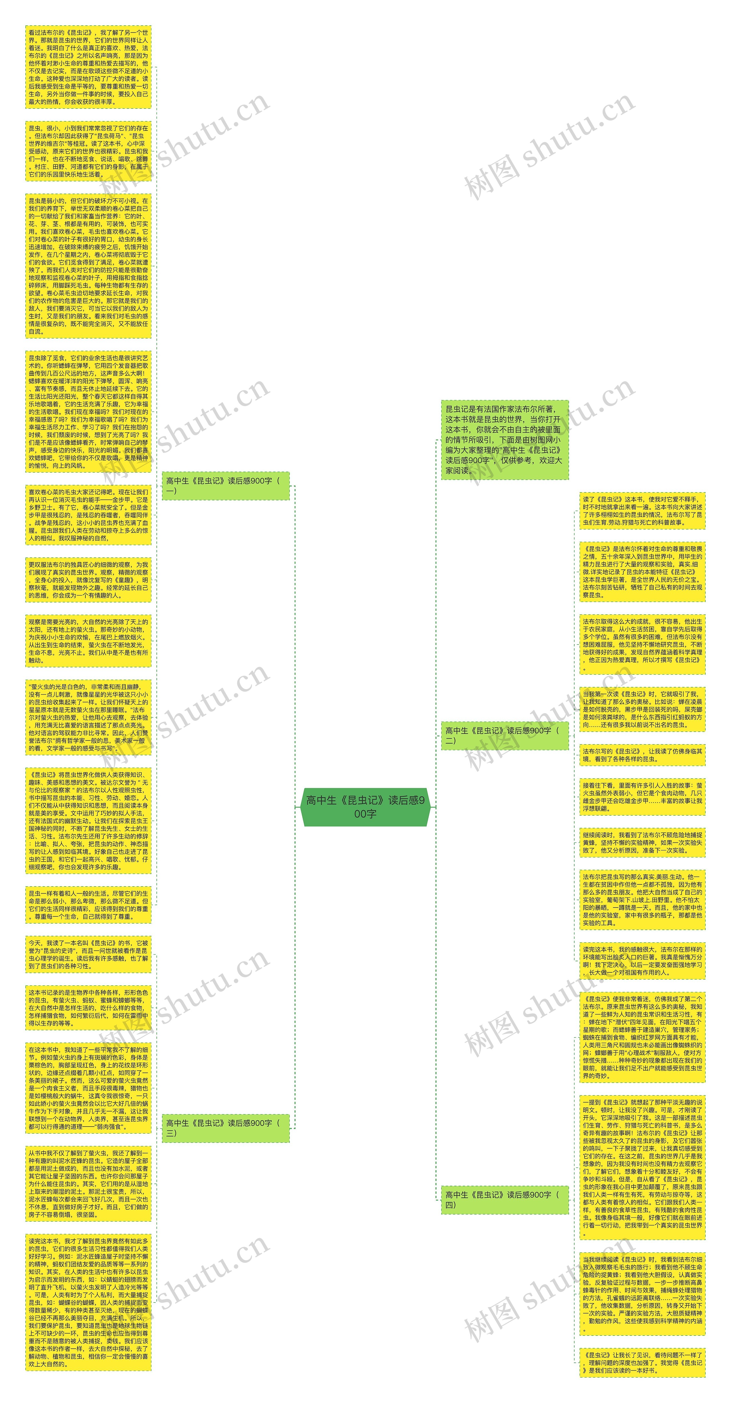 高中生《昆虫记》读后感900字思维导图