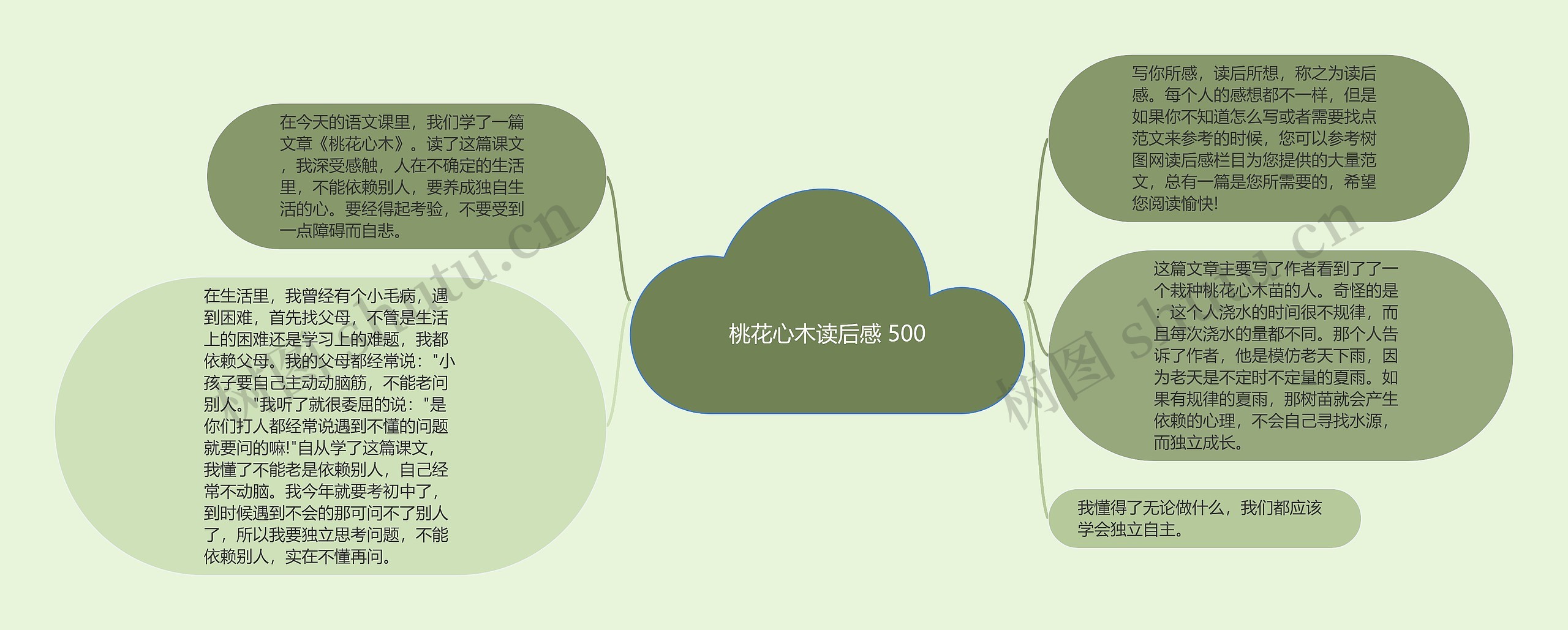 桃花心木读后感 500