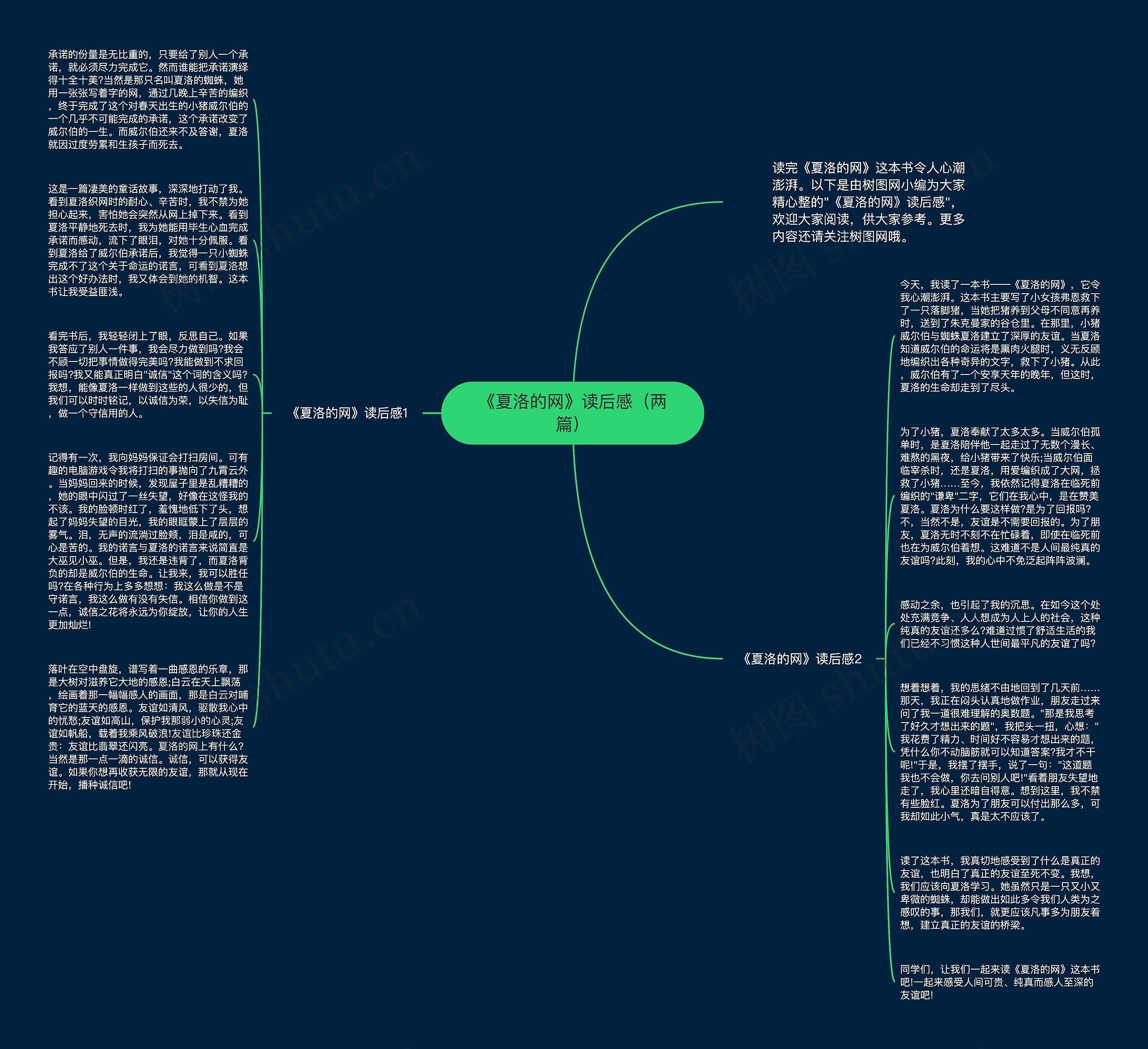《夏洛的网》读后感（两篇）思维导图