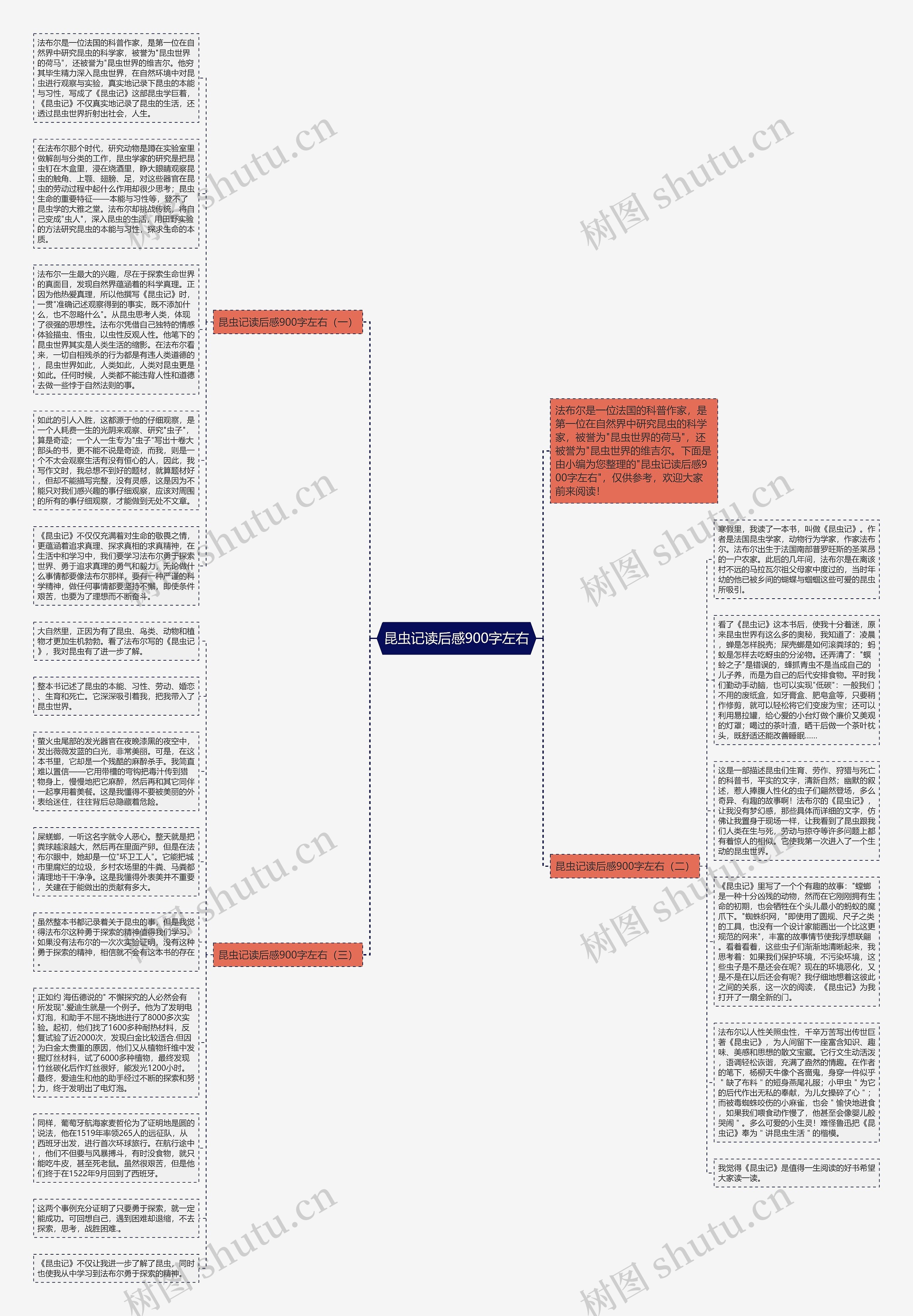 昆虫记读后感900字左右思维导图