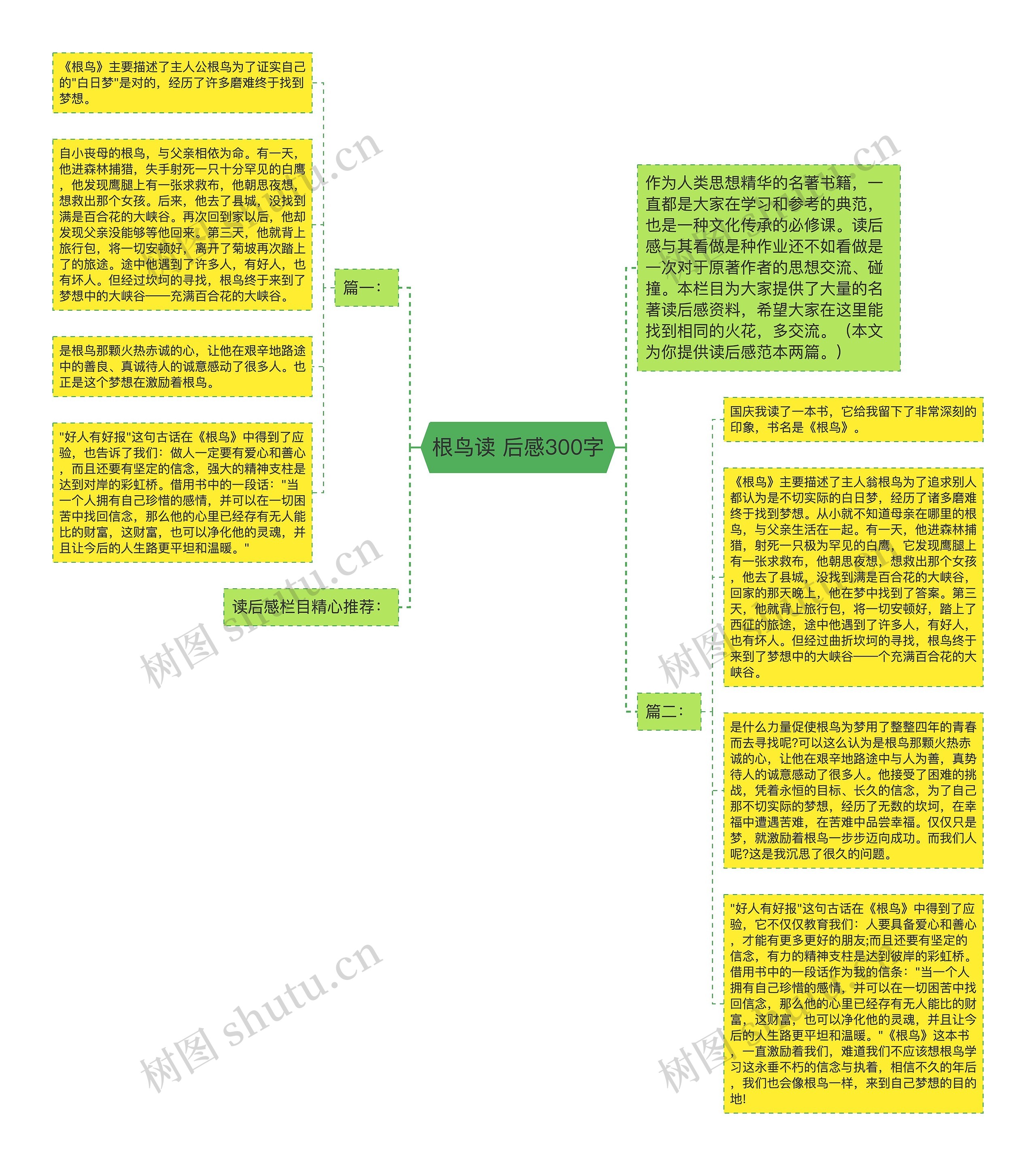 根鸟读 后感300字思维导图