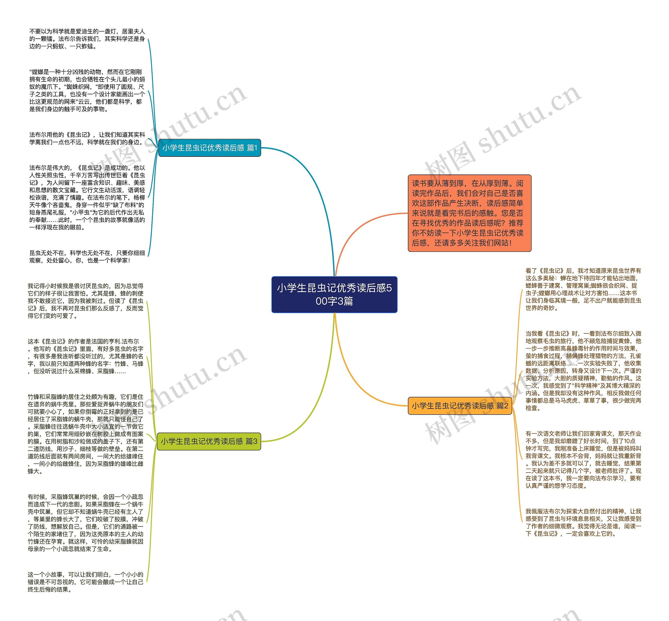 小学生昆虫记优秀读后感500字3篇思维导图