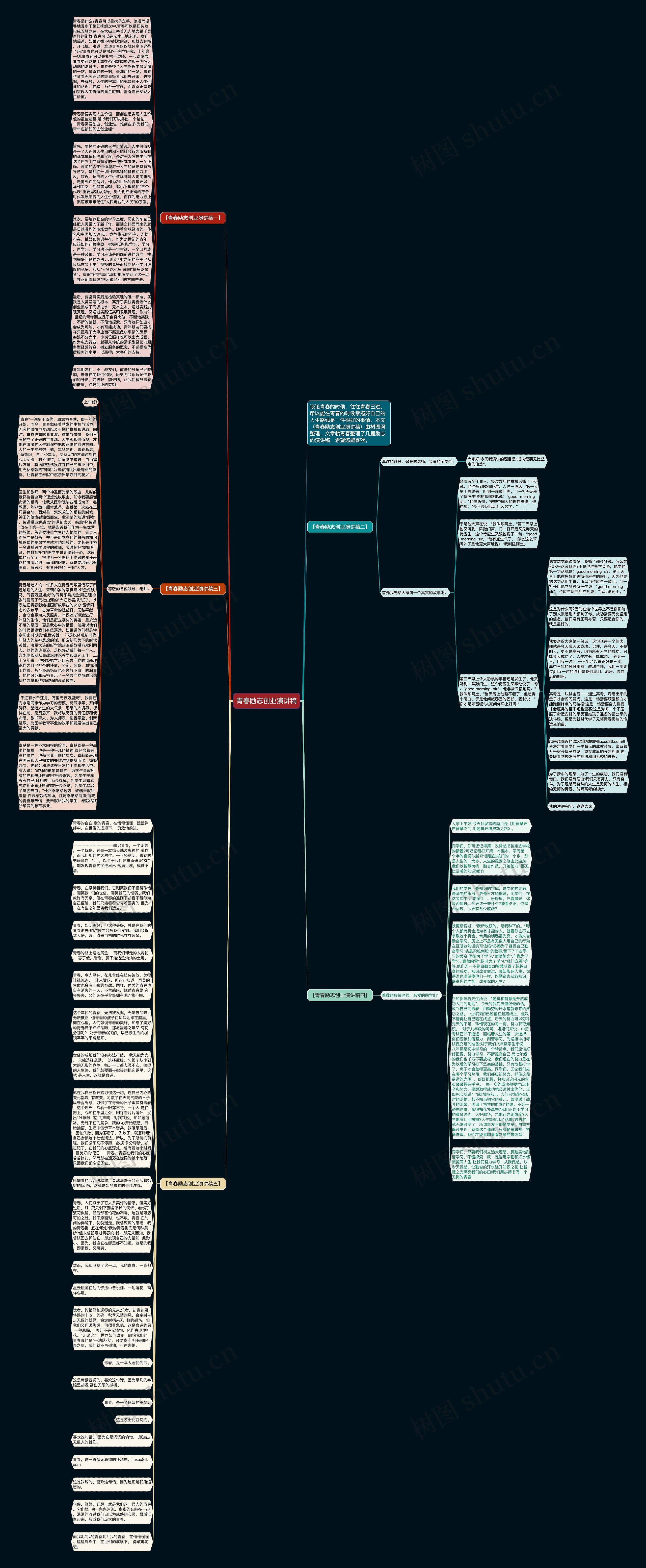 青春励志创业演讲稿思维导图