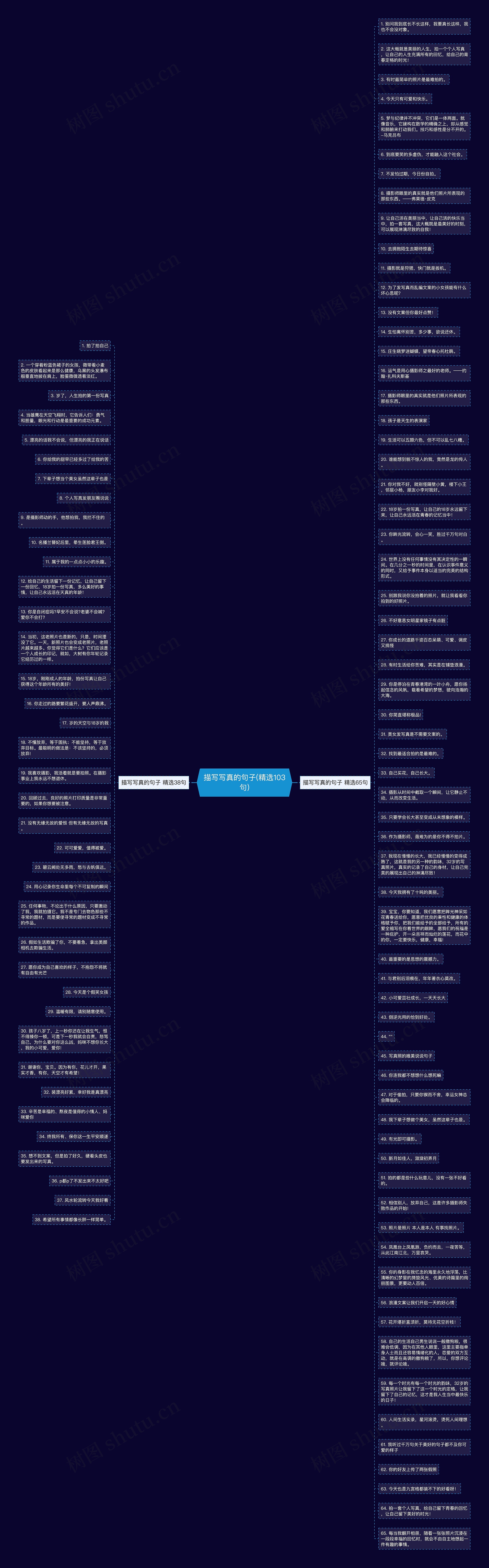 描写写真的句子(精选103句)思维导图