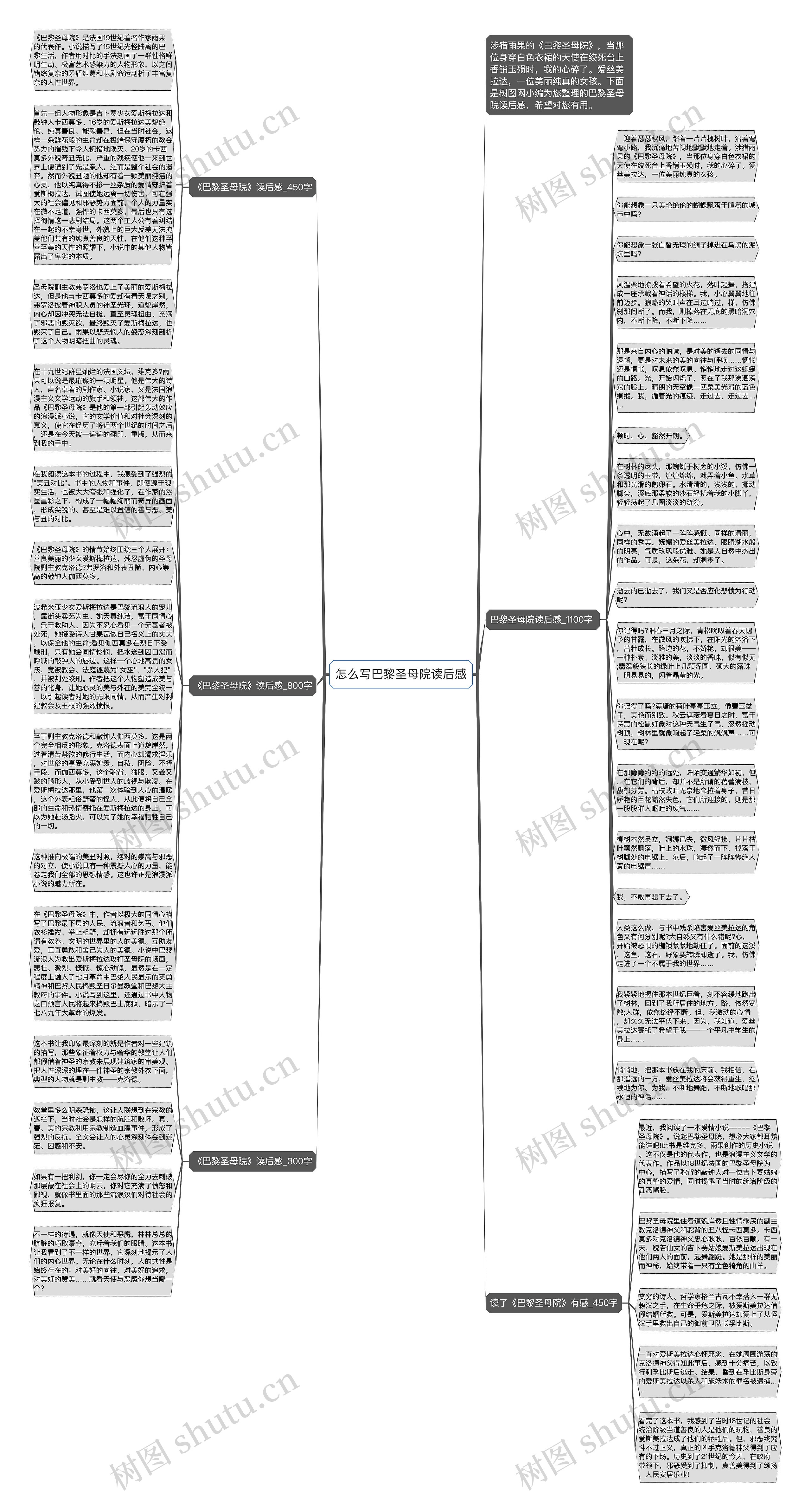 怎么写巴黎圣母院读后感思维导图