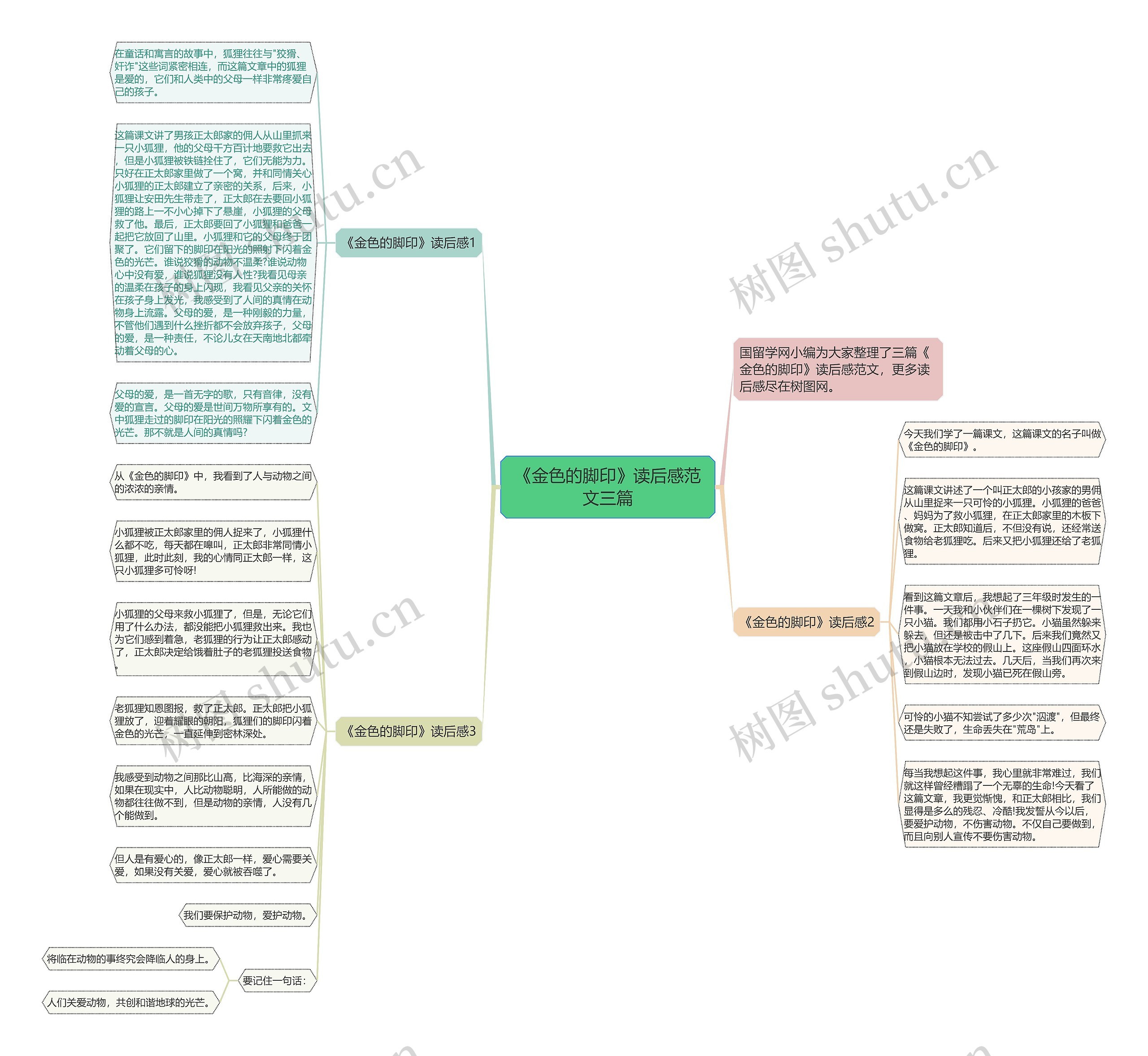 《金色的脚印》读后感范文三篇思维导图