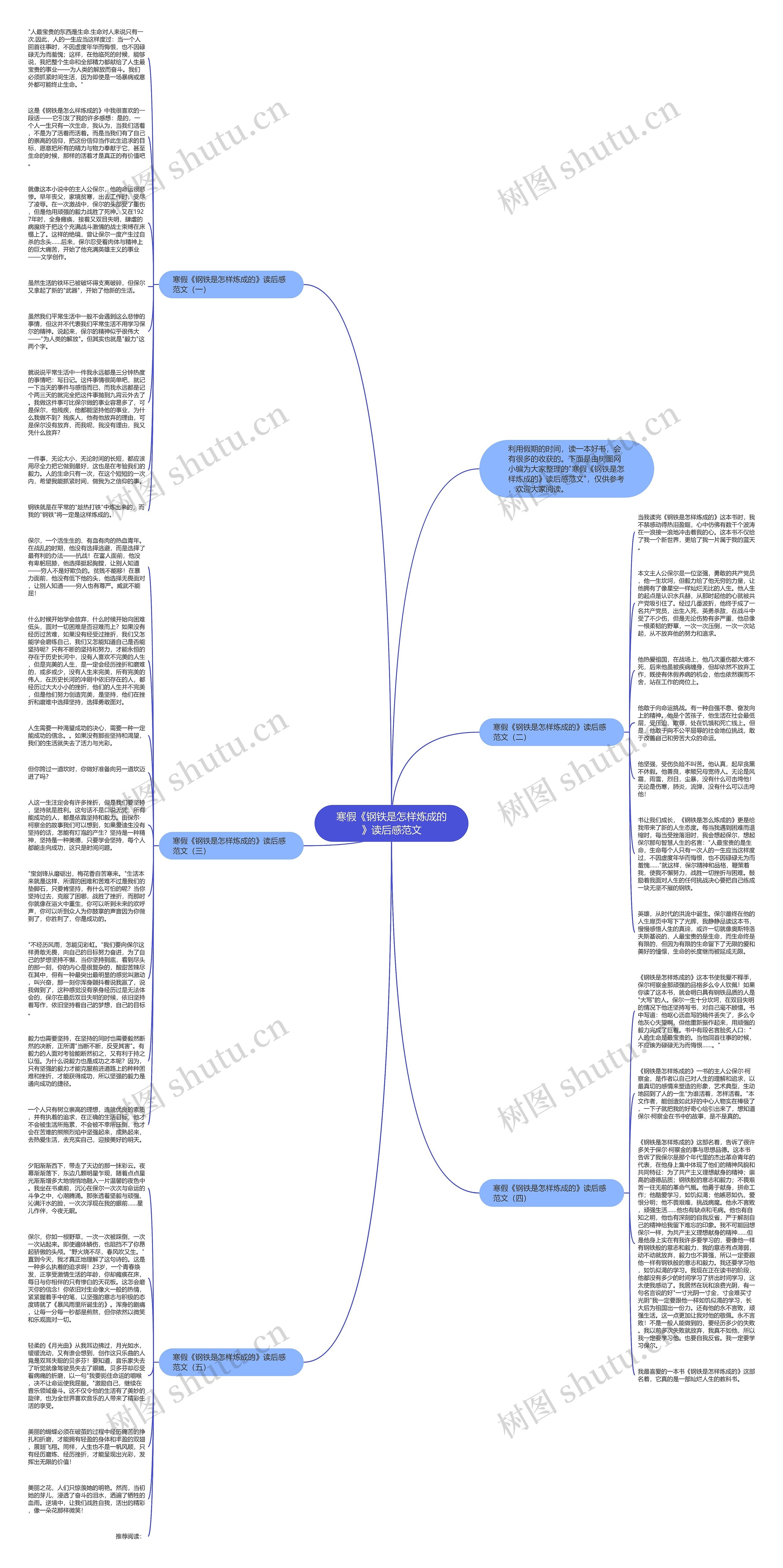 寒假《钢铁是怎样炼成的》读后感范文思维导图