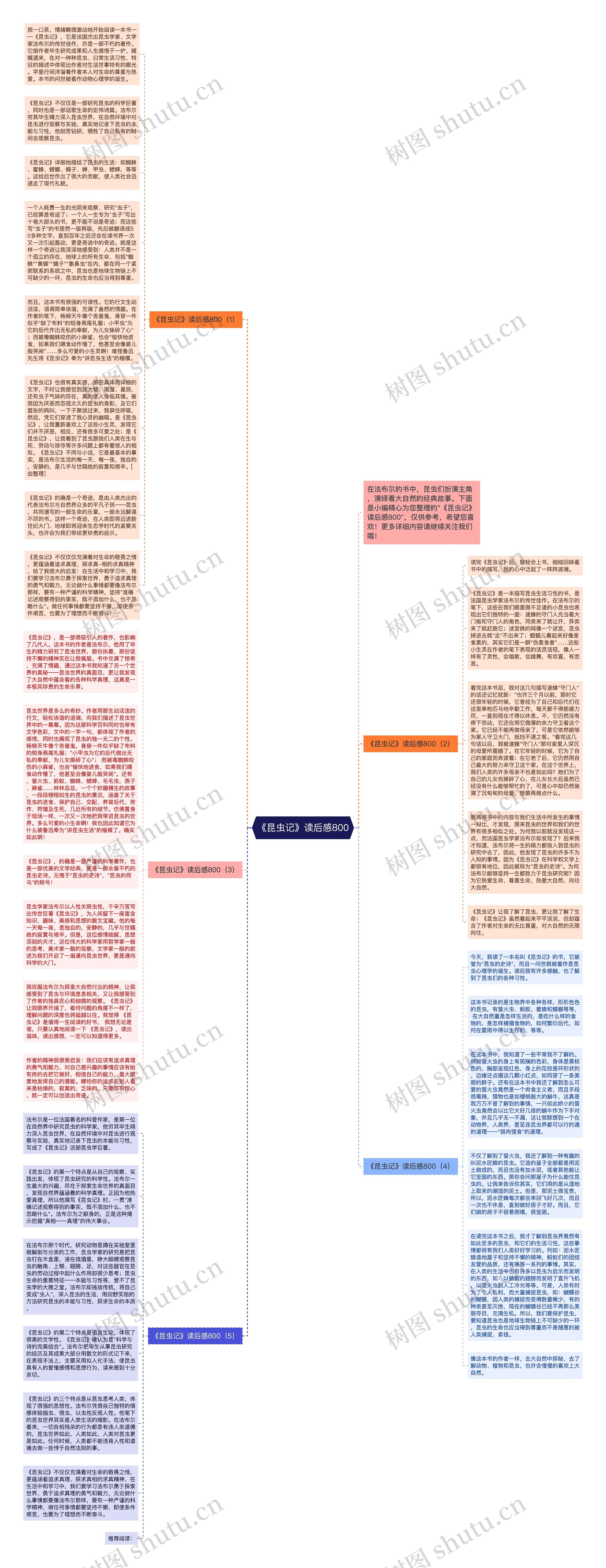 《昆虫记》读后感800思维导图