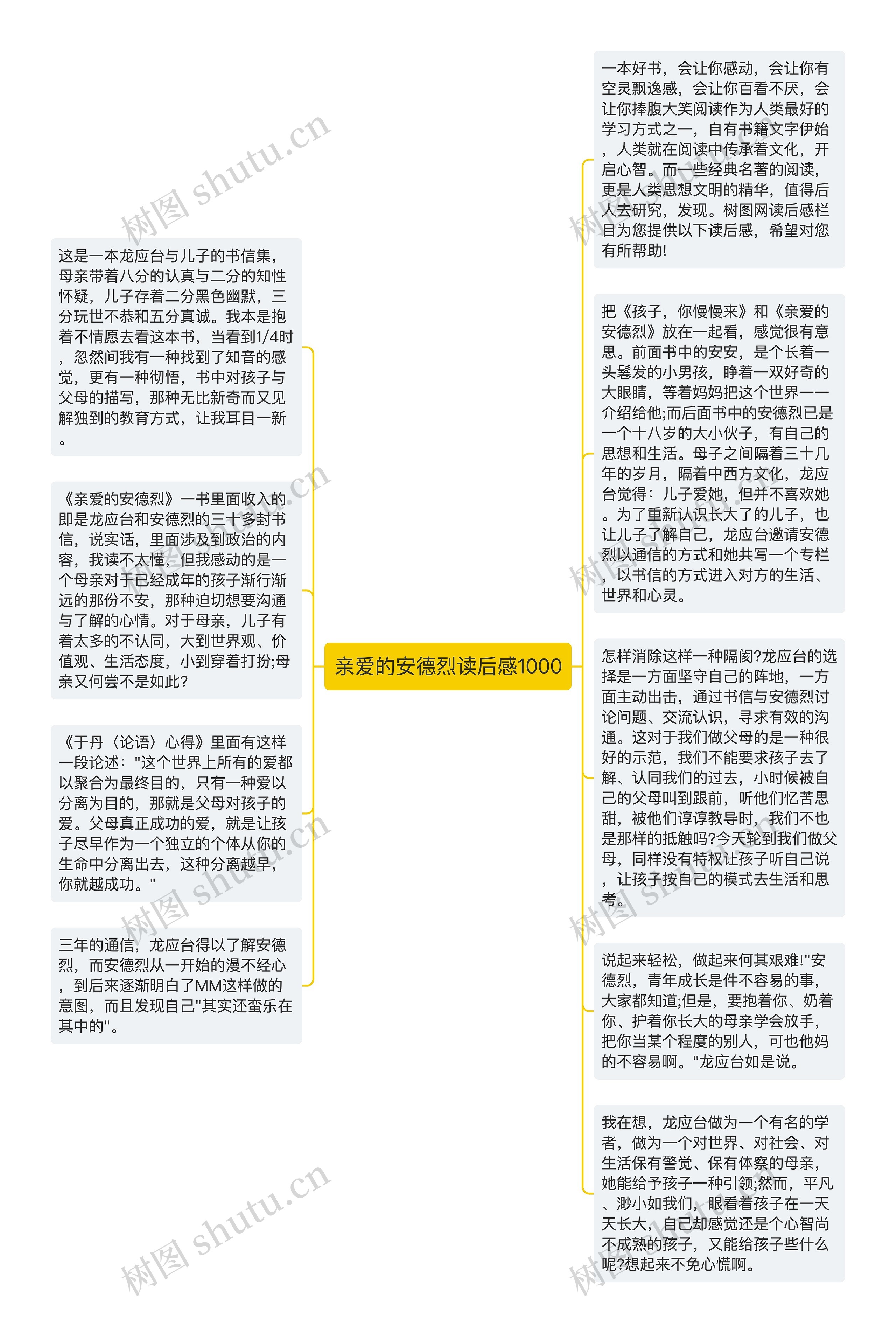 亲爱的安德烈读后感1000