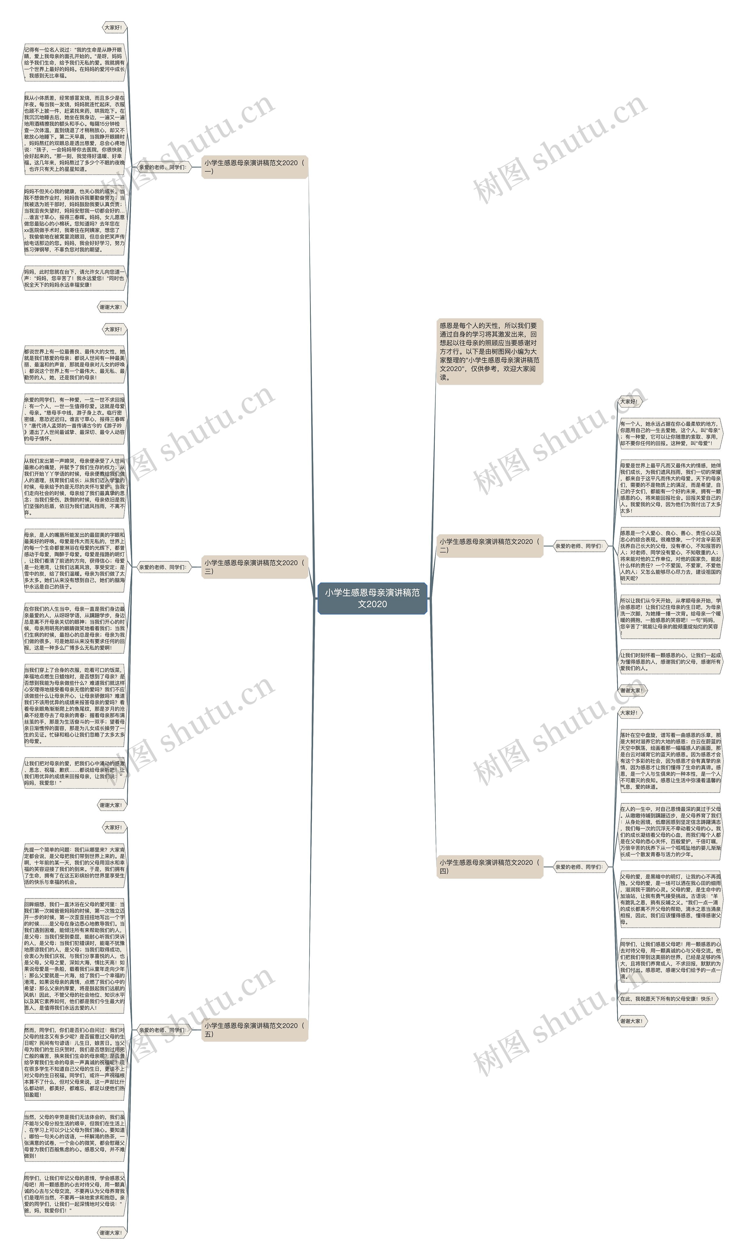 小学生感恩母亲演讲稿范文2020思维导图