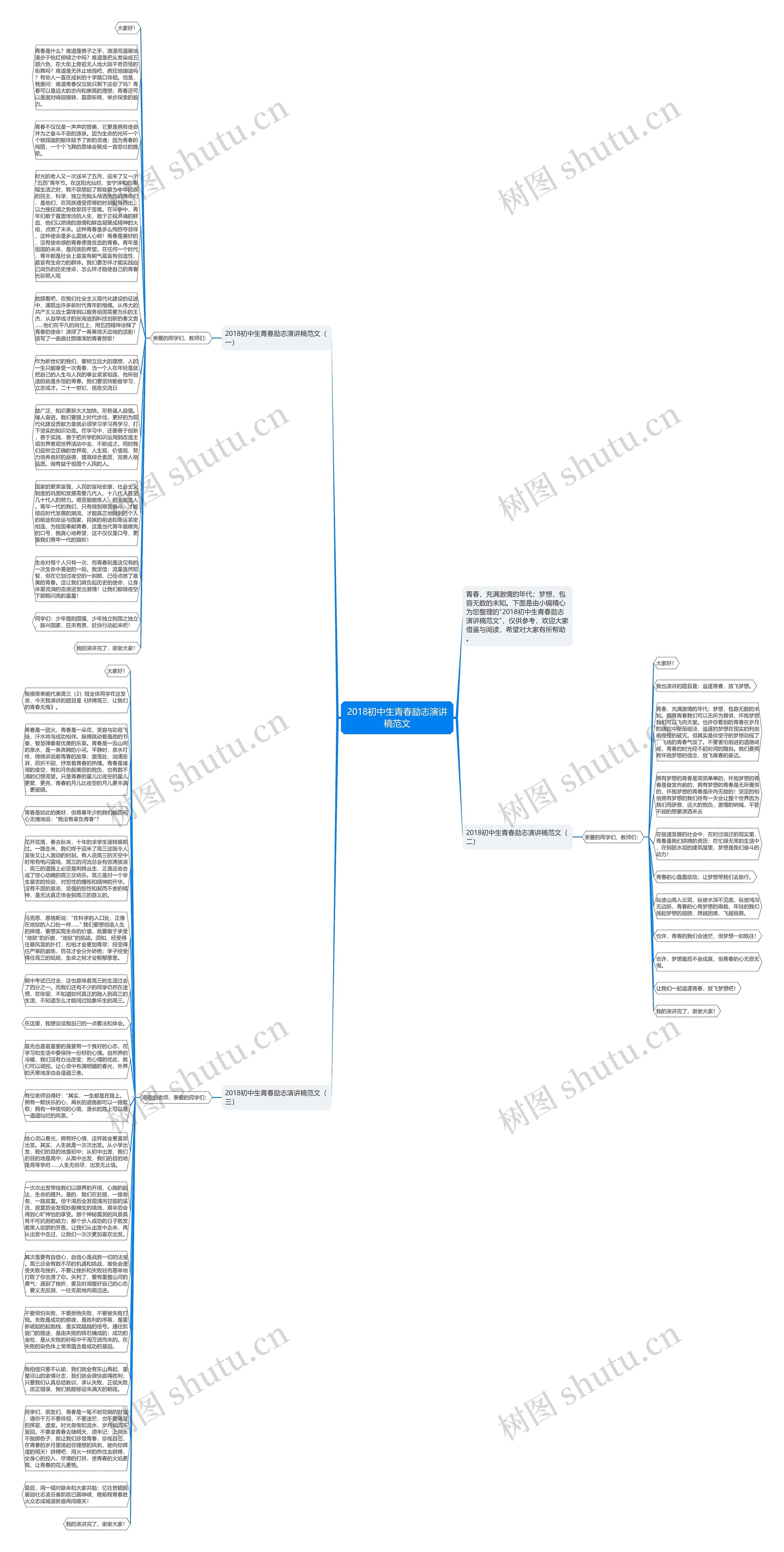 2018初中生青春励志演讲稿范文思维导图