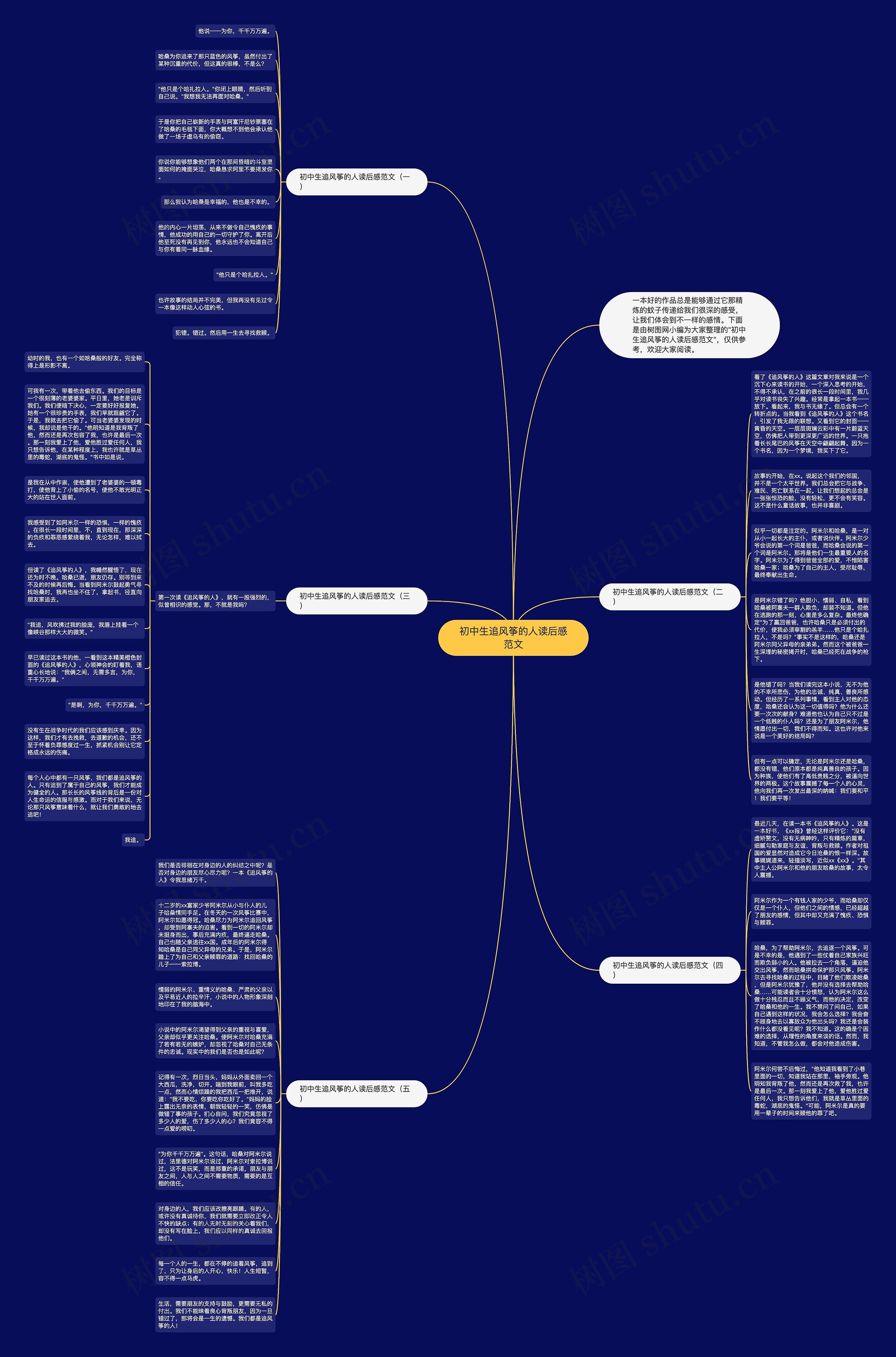 初中生追风筝的人读后感范文思维导图