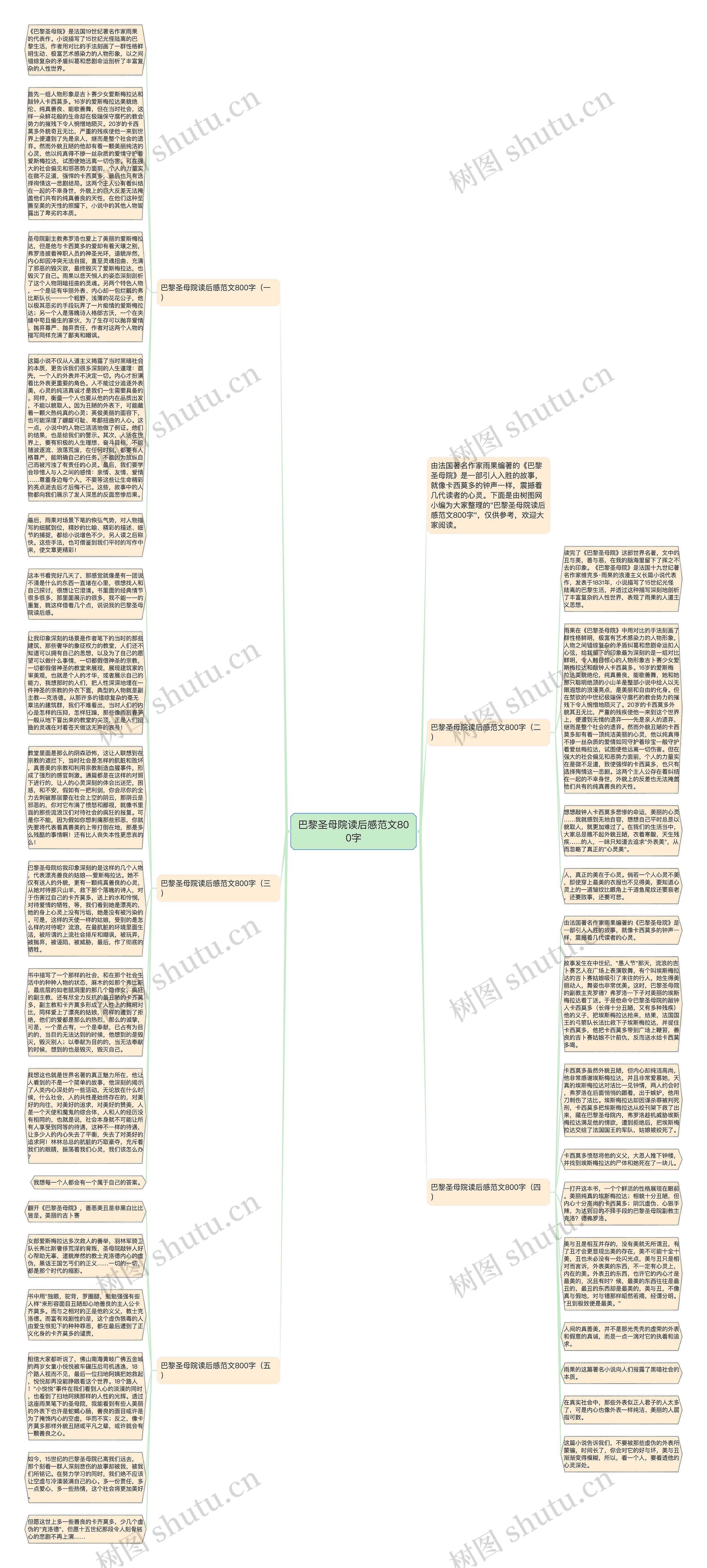 巴黎圣母院读后感范文800字思维导图