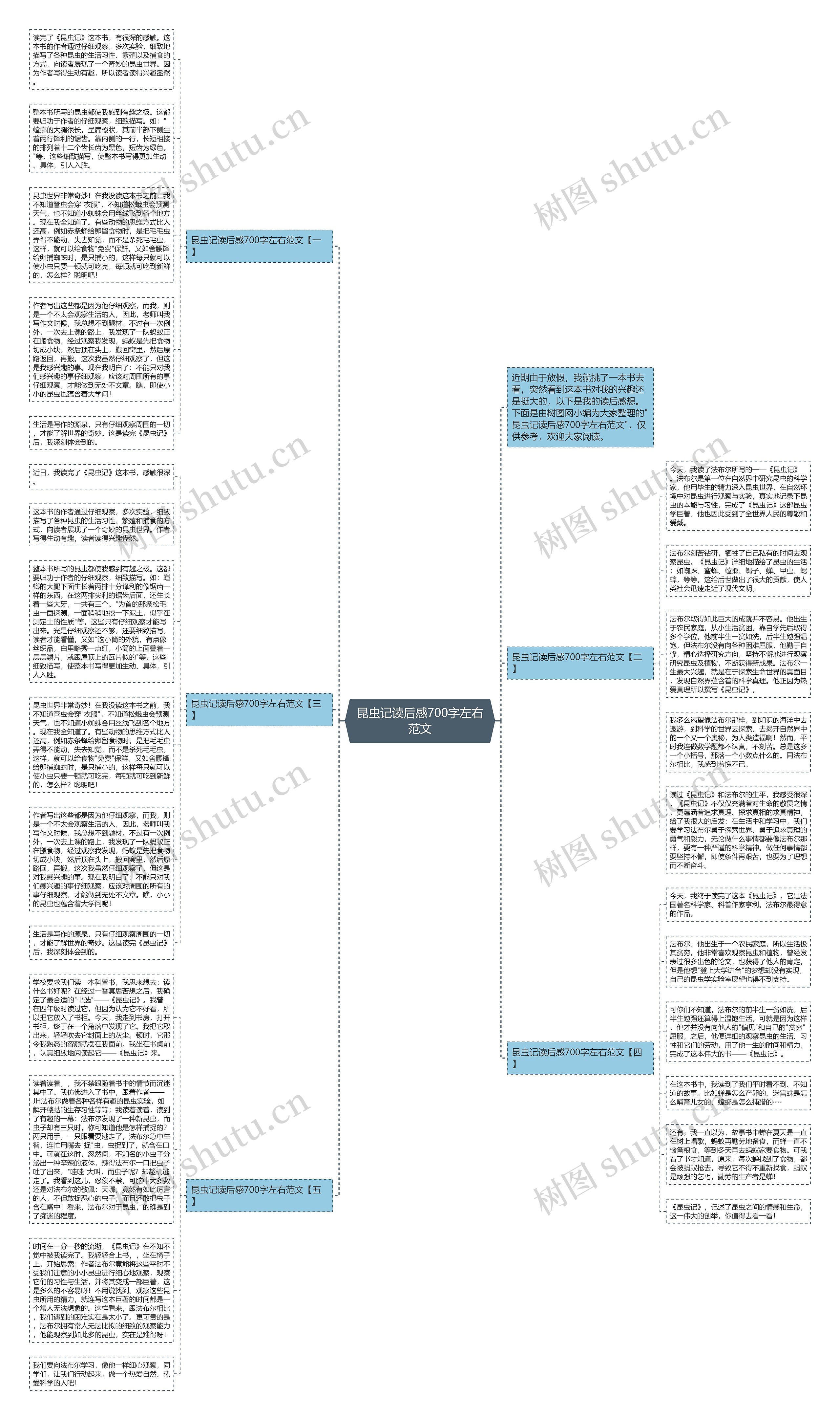 昆虫记读后感700字左右范文思维导图