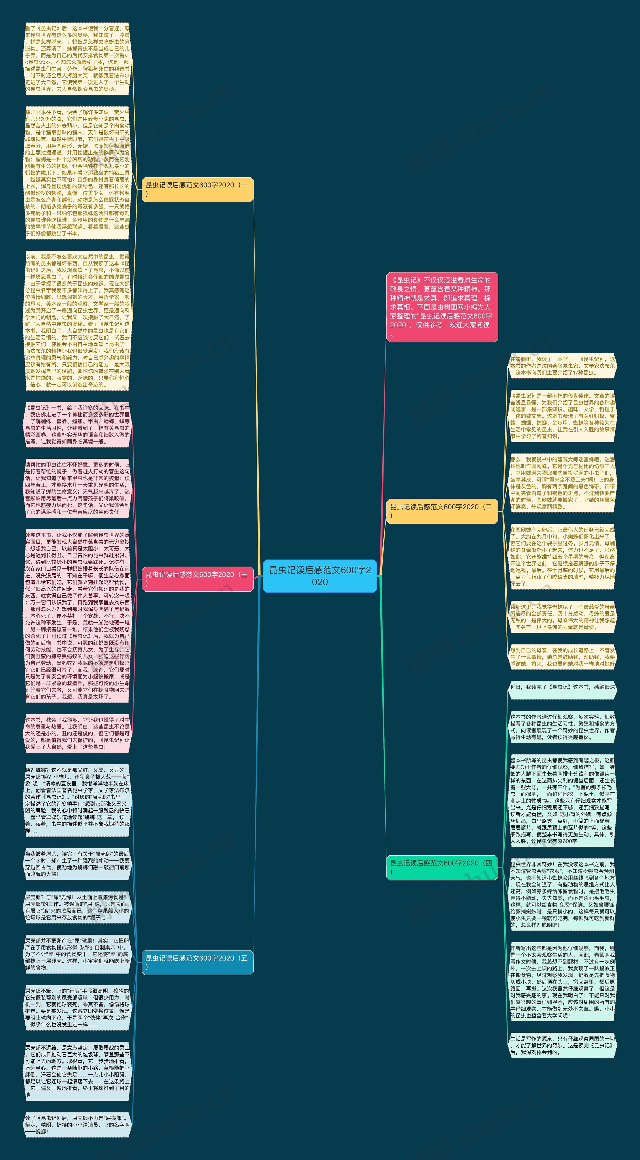 昆虫记读后感范文600字2020思维导图
