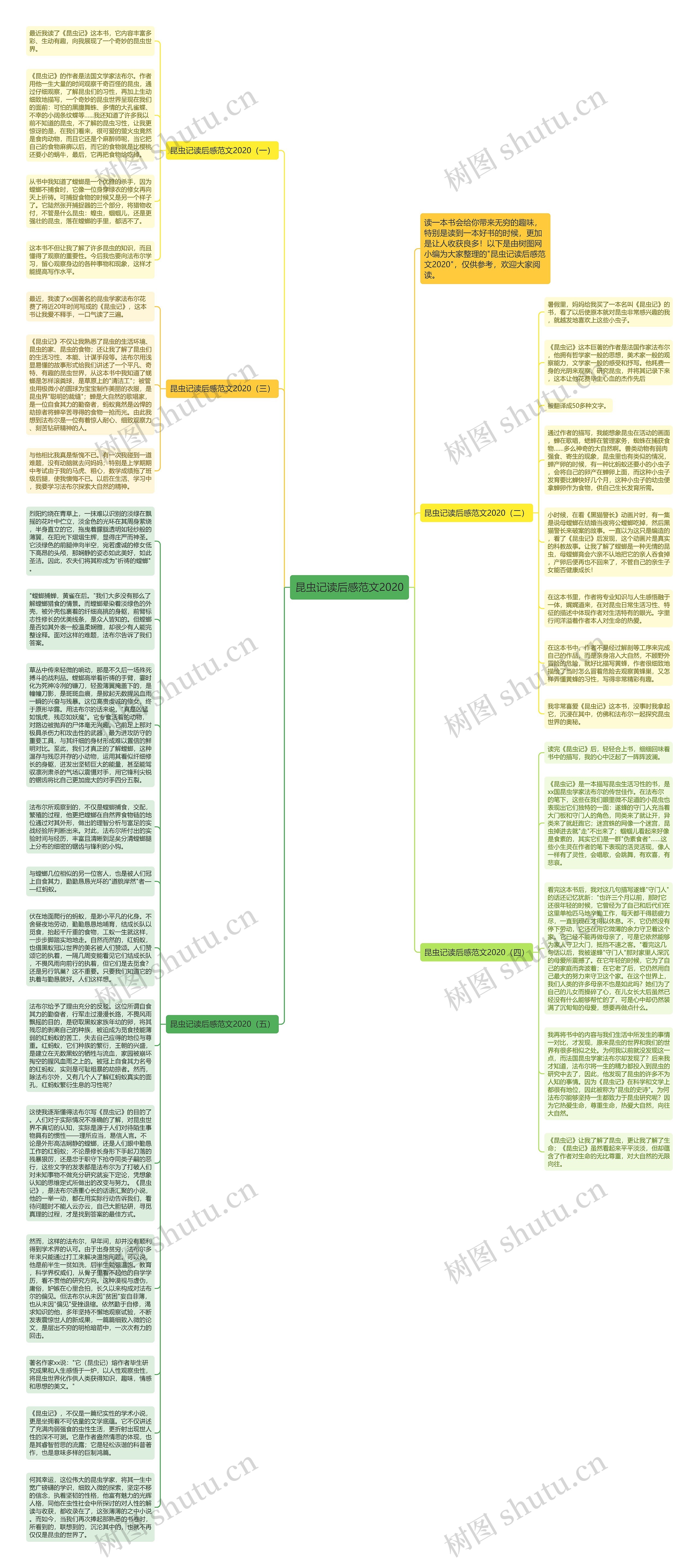 昆虫记读后感范文2020思维导图