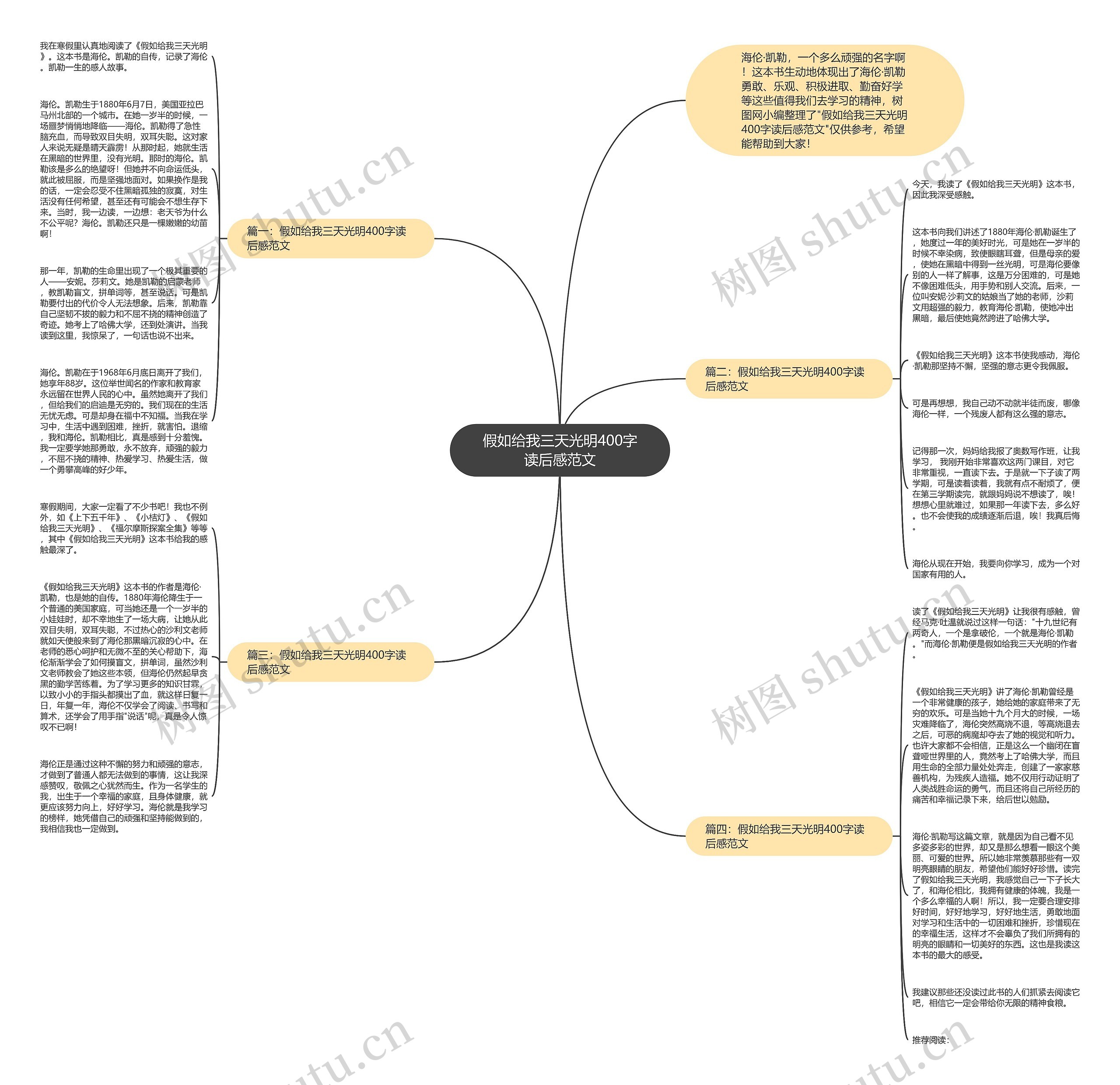 假如给我三天光明400字读后感范文思维导图