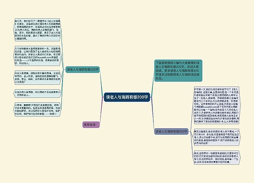 读老人与海鸥有感200字