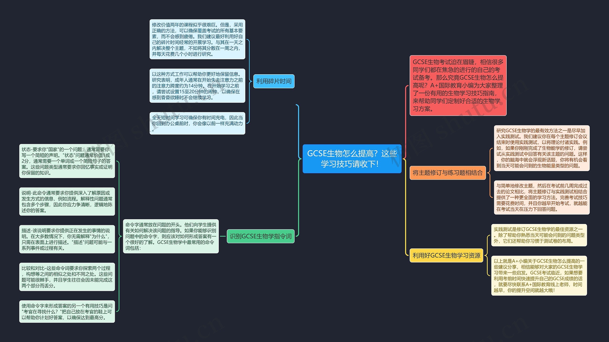 GCSE生物怎么提高？这些学习技巧请收下！思维导图