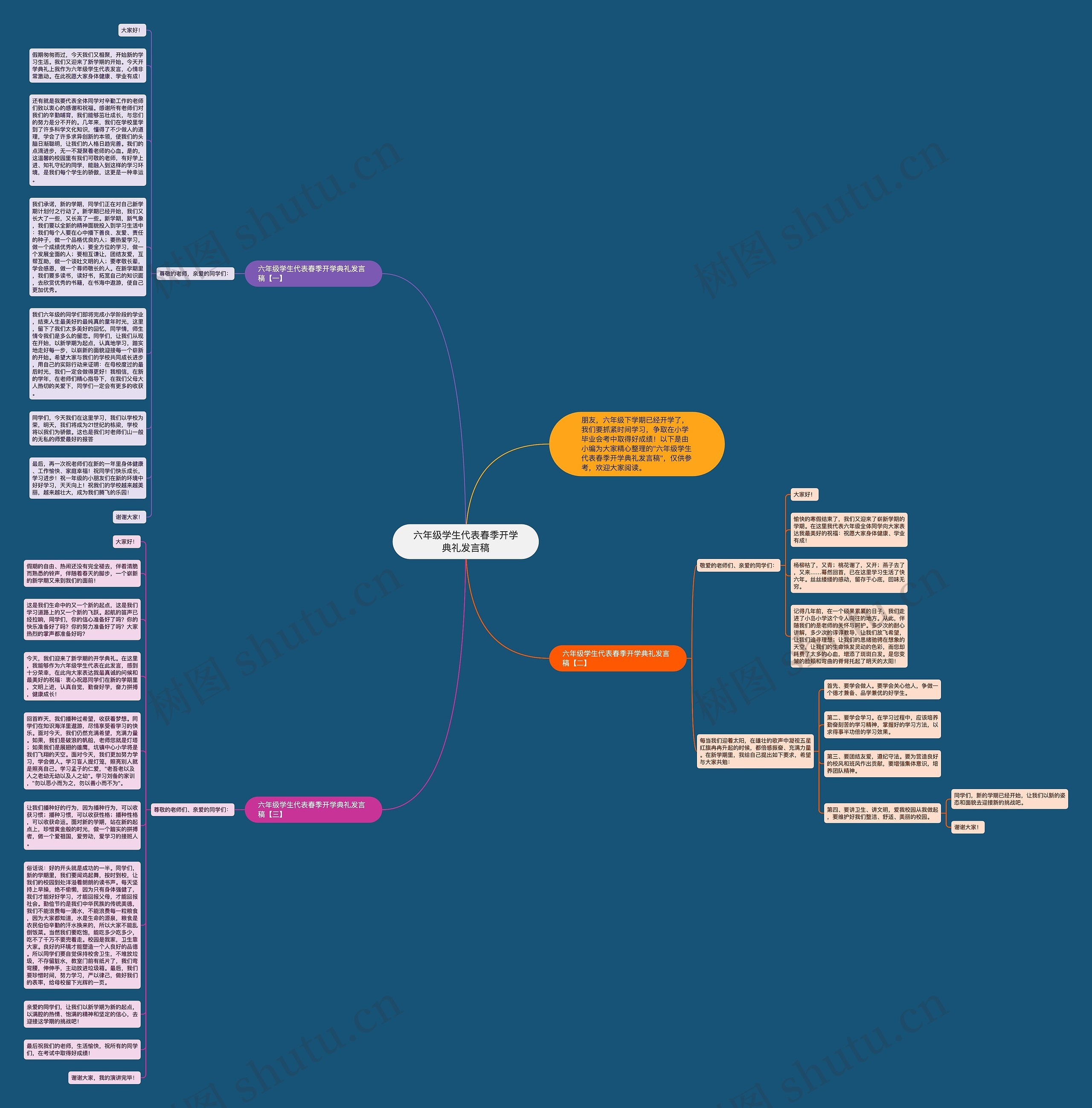 六年级学生代表春季开学典礼发言稿思维导图