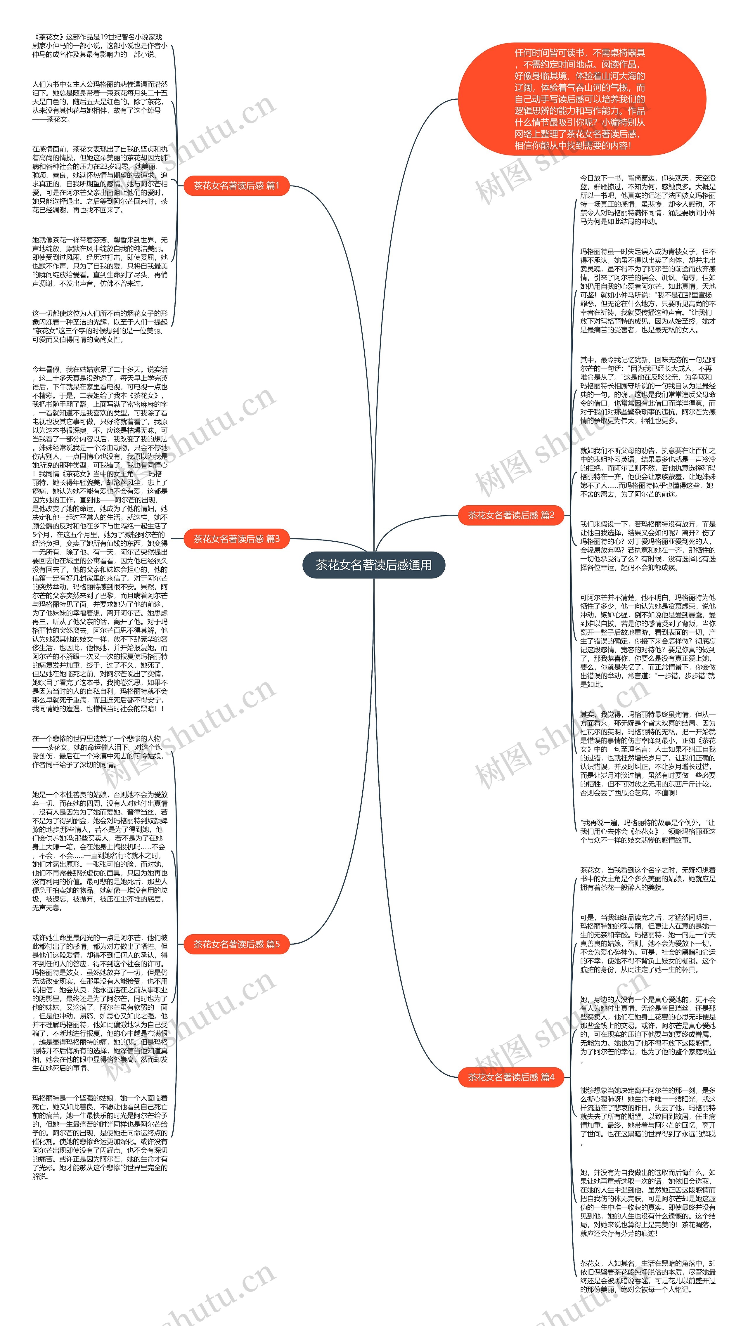 茶花女名著读后感通用思维导图